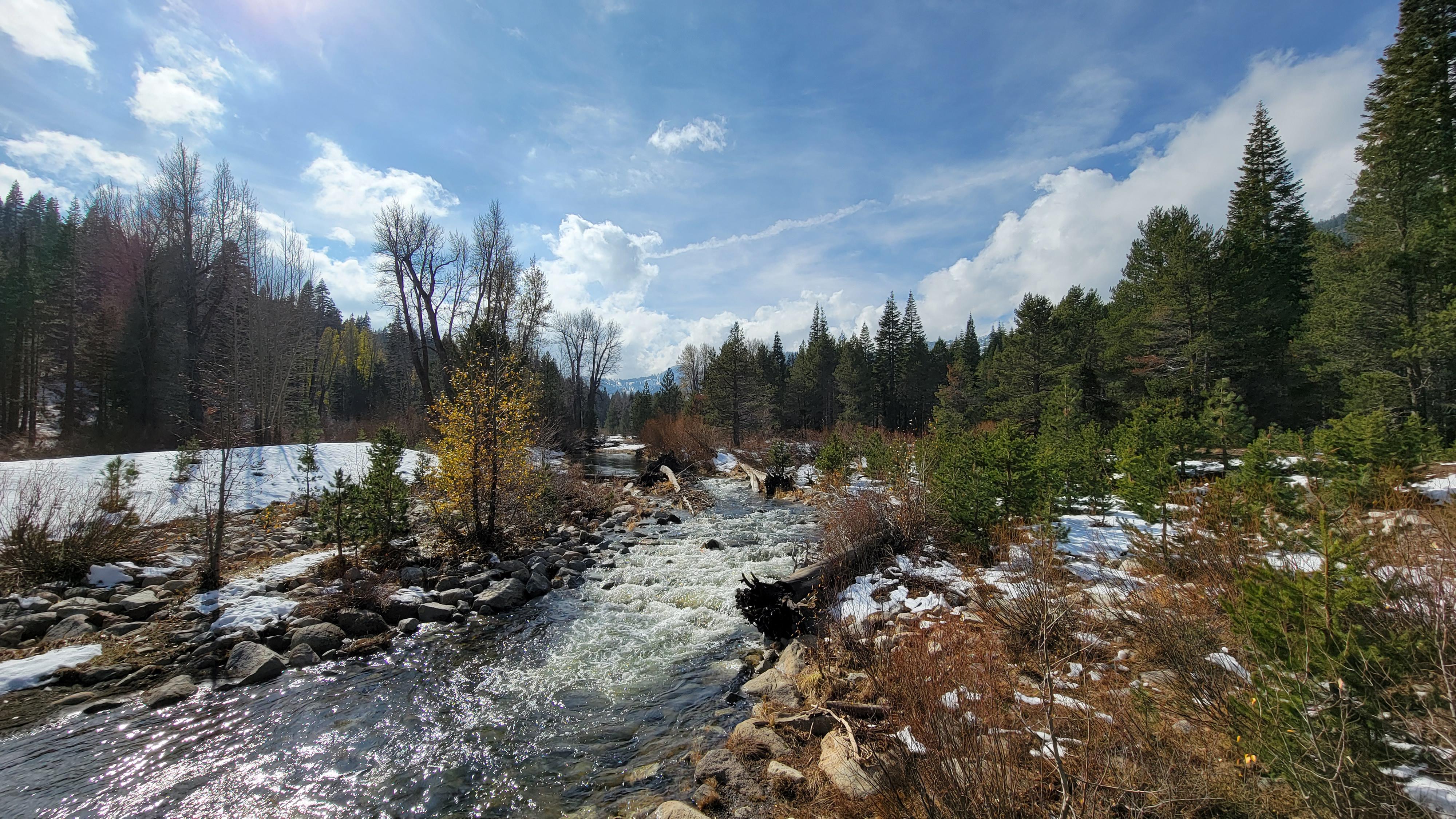 Visited the Blackwood Creek for the first time and went exploring up