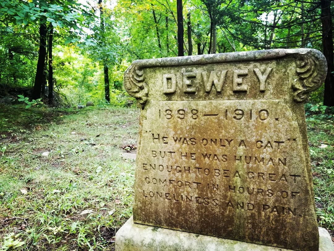 Dewey the Cat, Pine Ridge Pet Cemetery, Dedham Massachusetts r