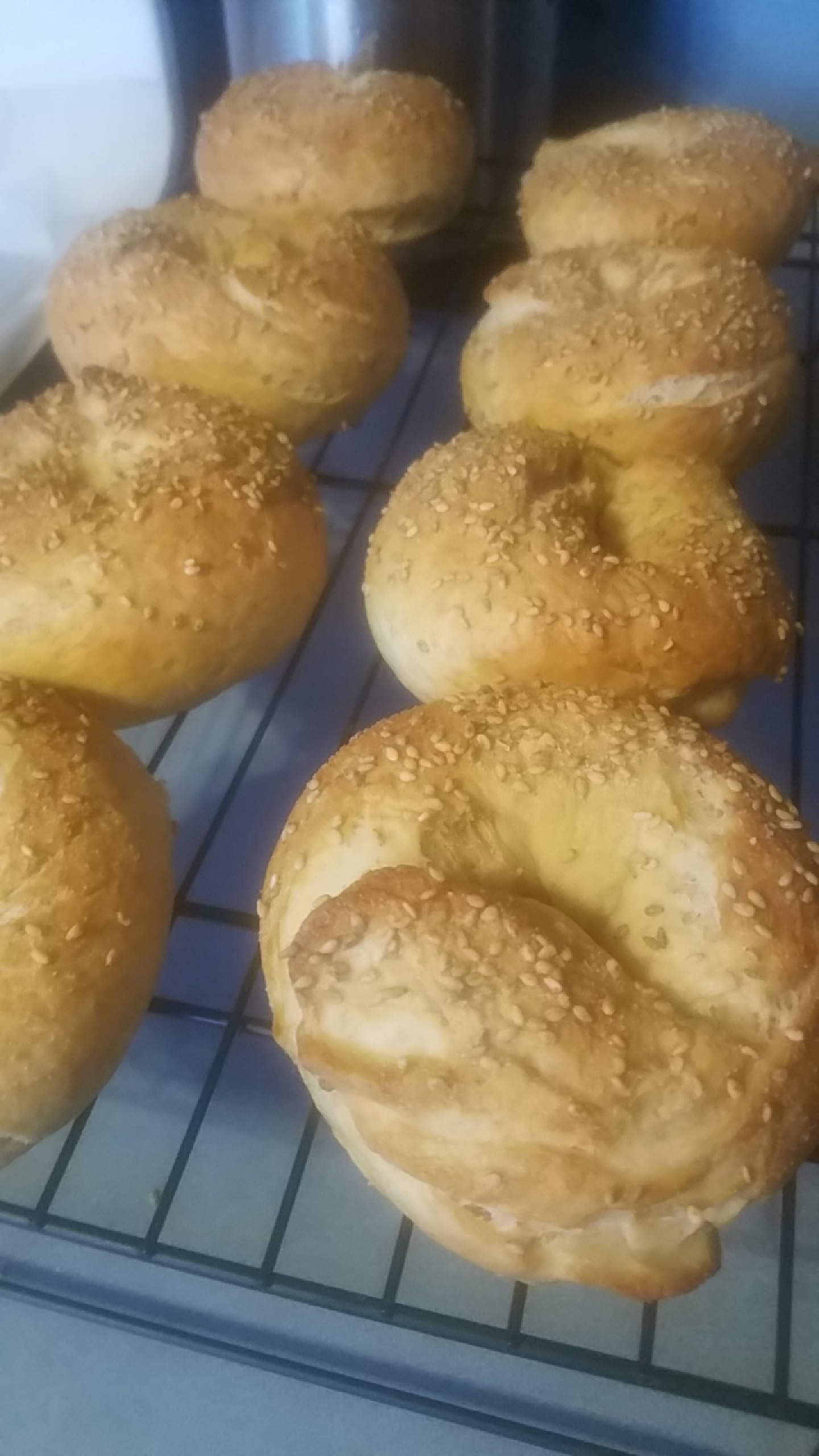 Hot For Food Everything Bagels r/veganrecipes
