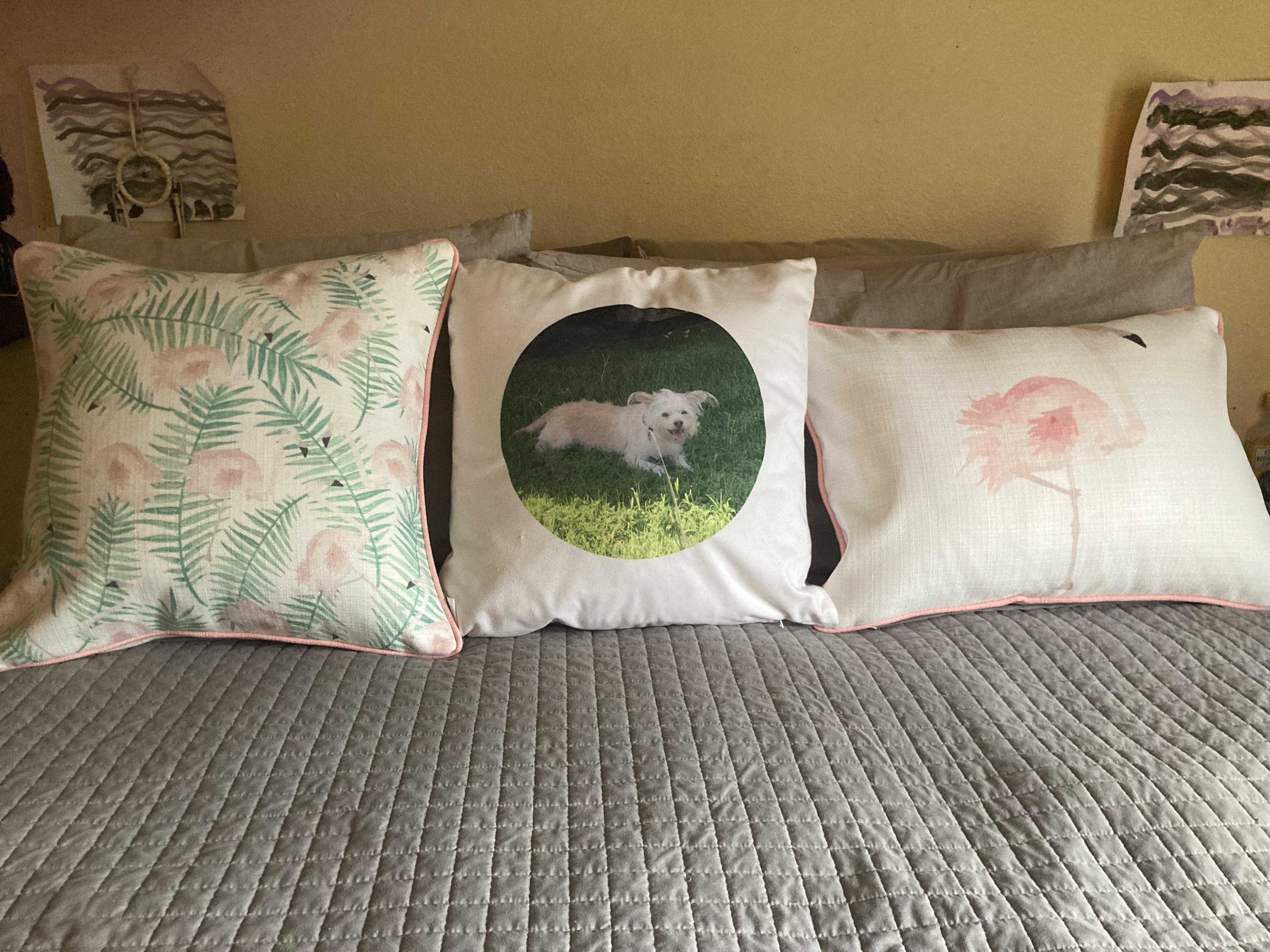 Got some of Craig’s pillows for Xmas. Bonus pillow with my dog on it