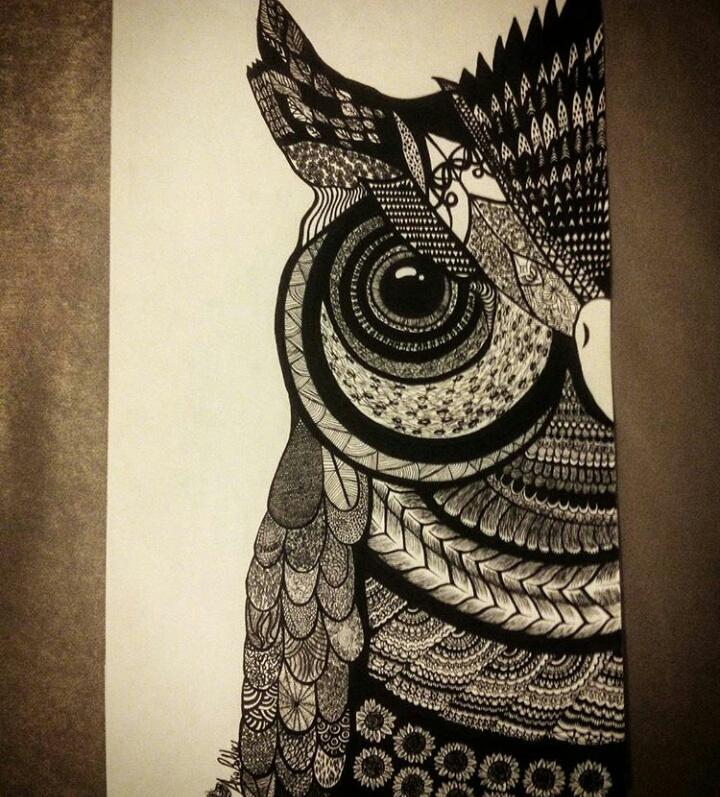 The Mistake. Pen drawing of a half owl. Please comment and be honest
