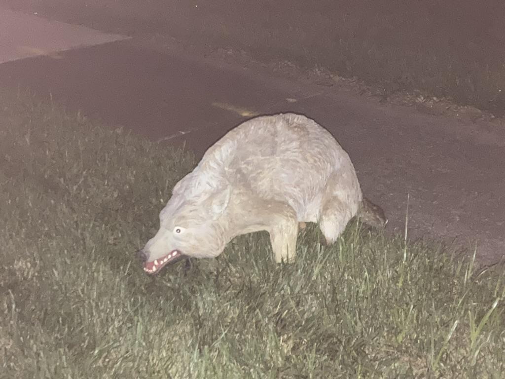 Walking my dog at night and came across this weird rubber creature secured with a stake attached