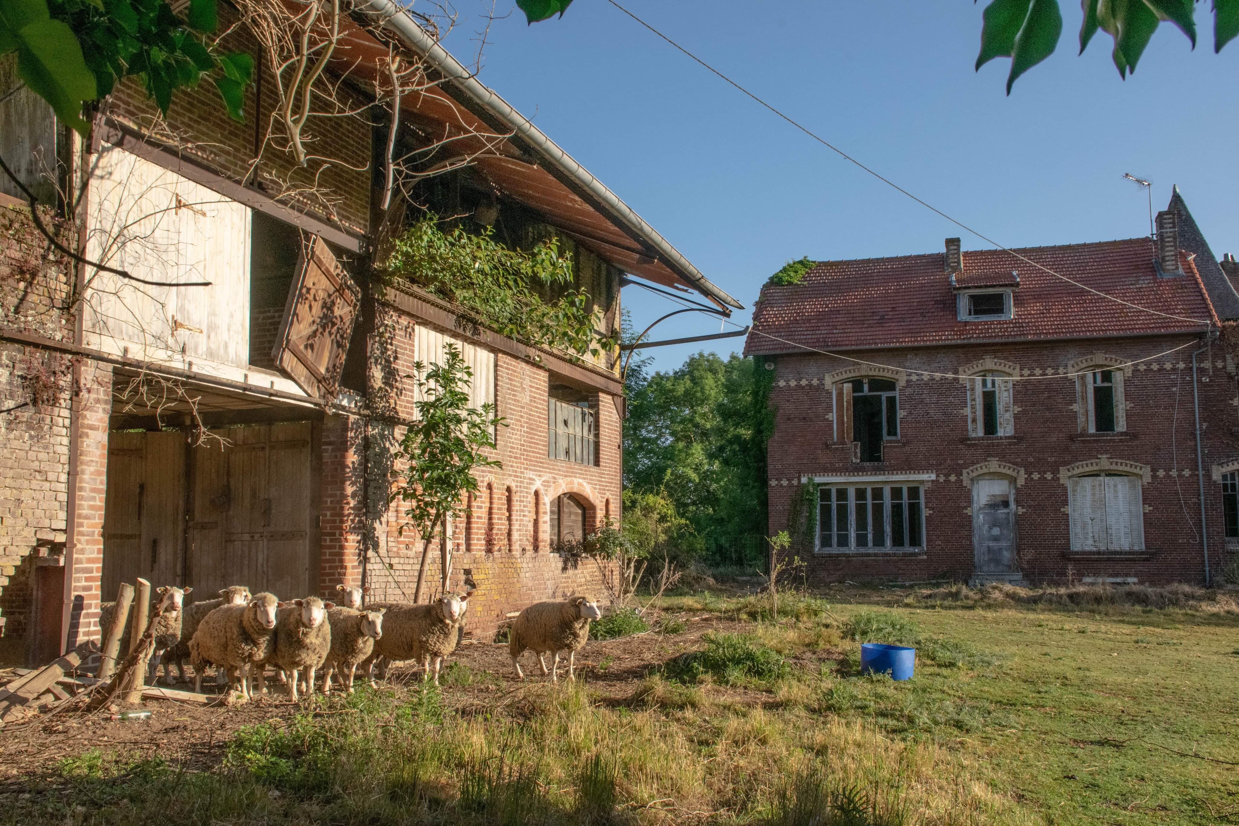 An abandoned farm house I found this morning in rural Somme, Picardy, France r/ArchitecturePorn
