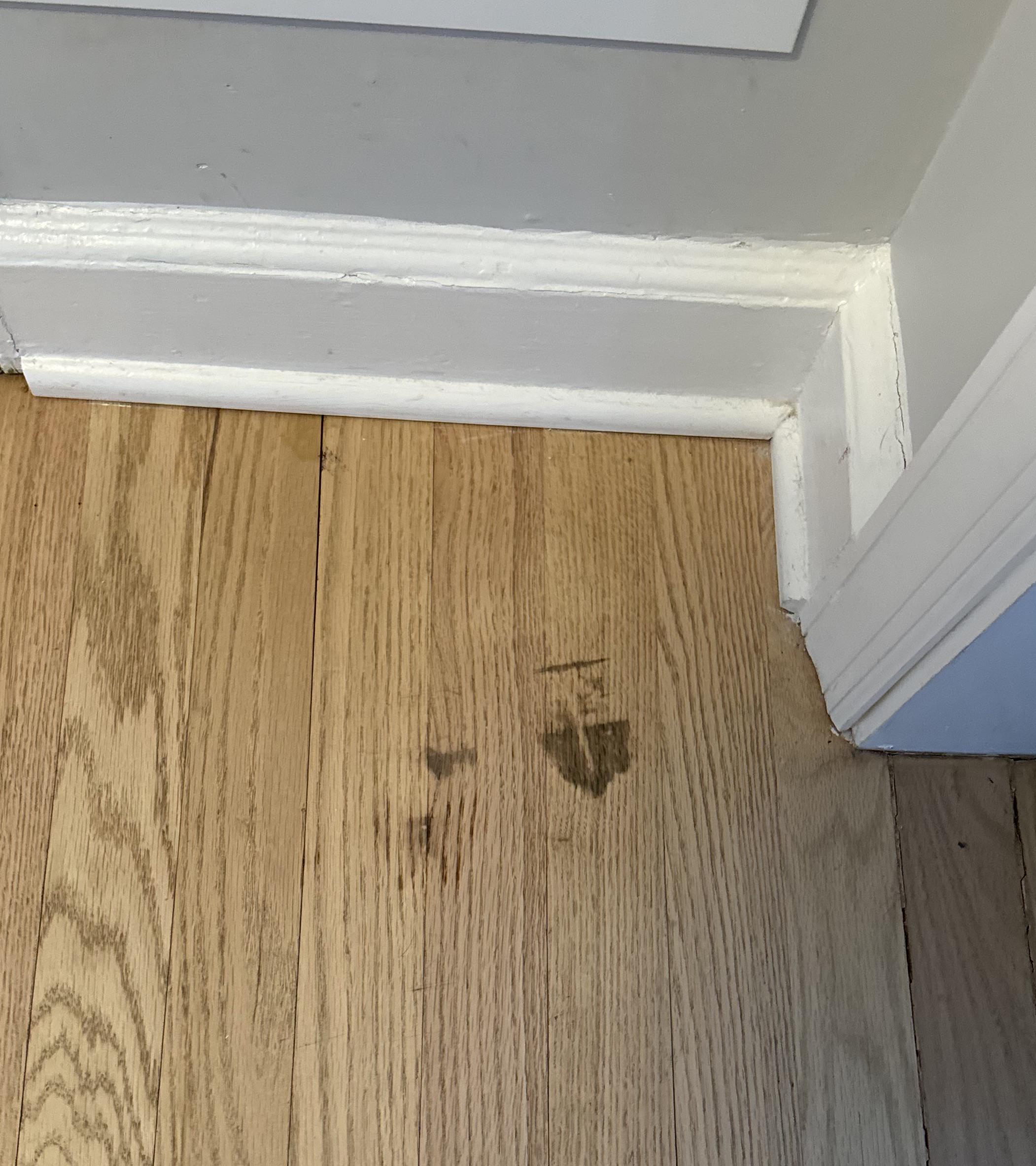 Laundry Detergent Stain Wood Floor r/CleaningTips