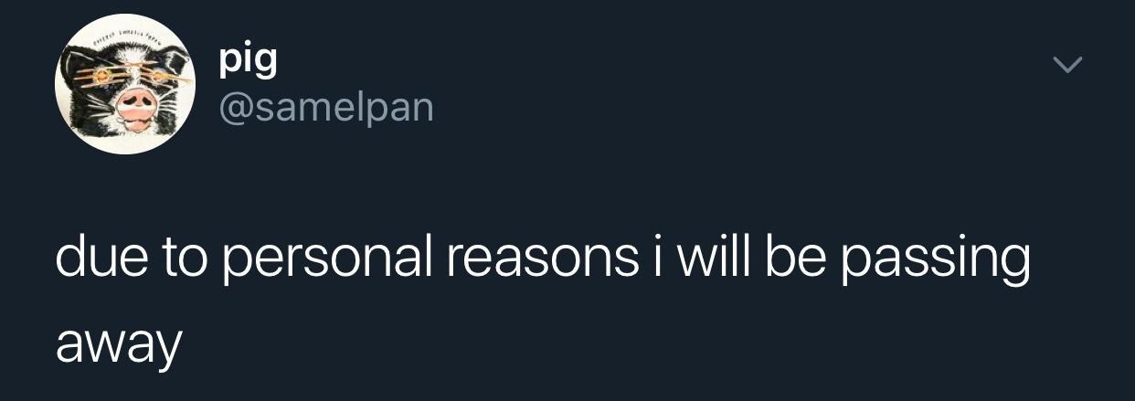 My landlord is making me take down my pride flag, some asshole followed