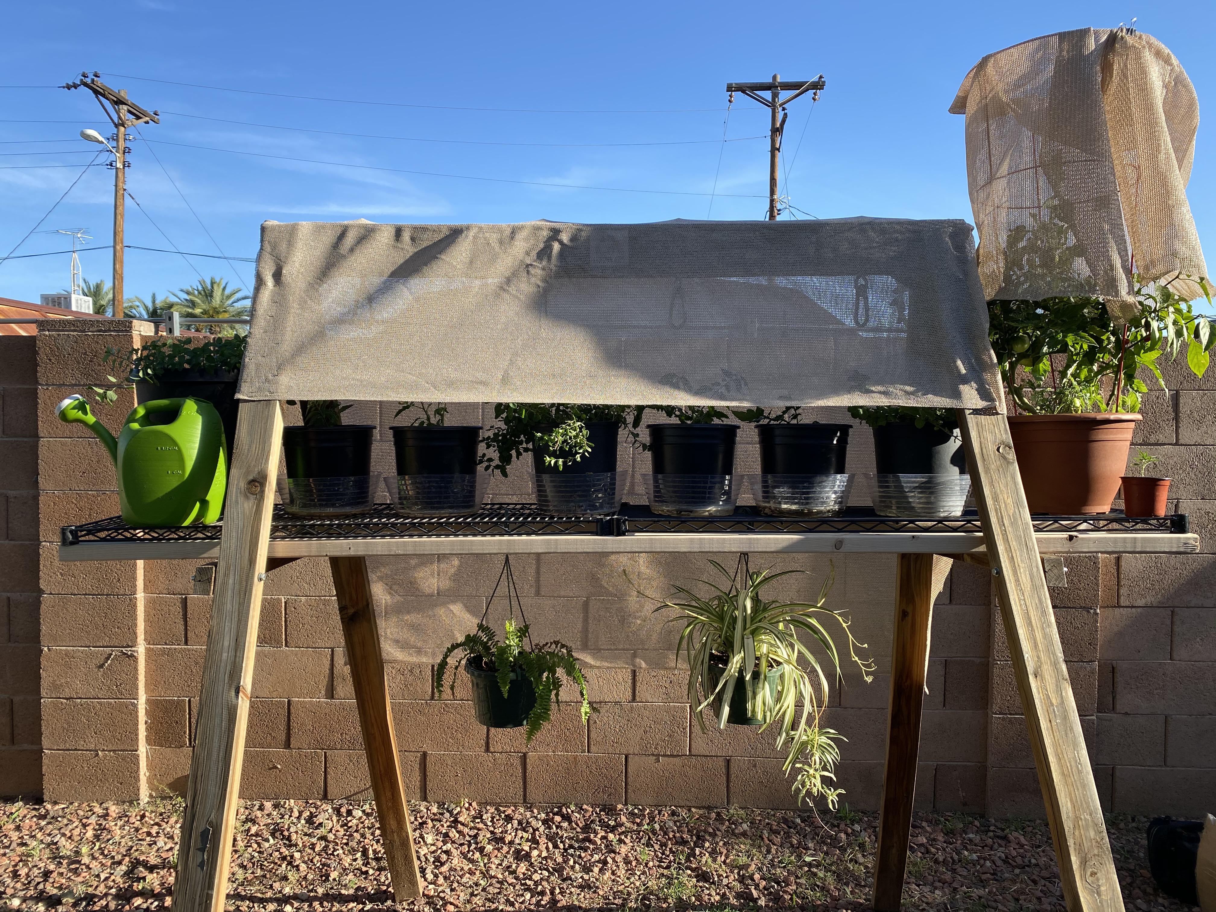 Repurposed an old swing set! Now it’s my garden! r/uktrees