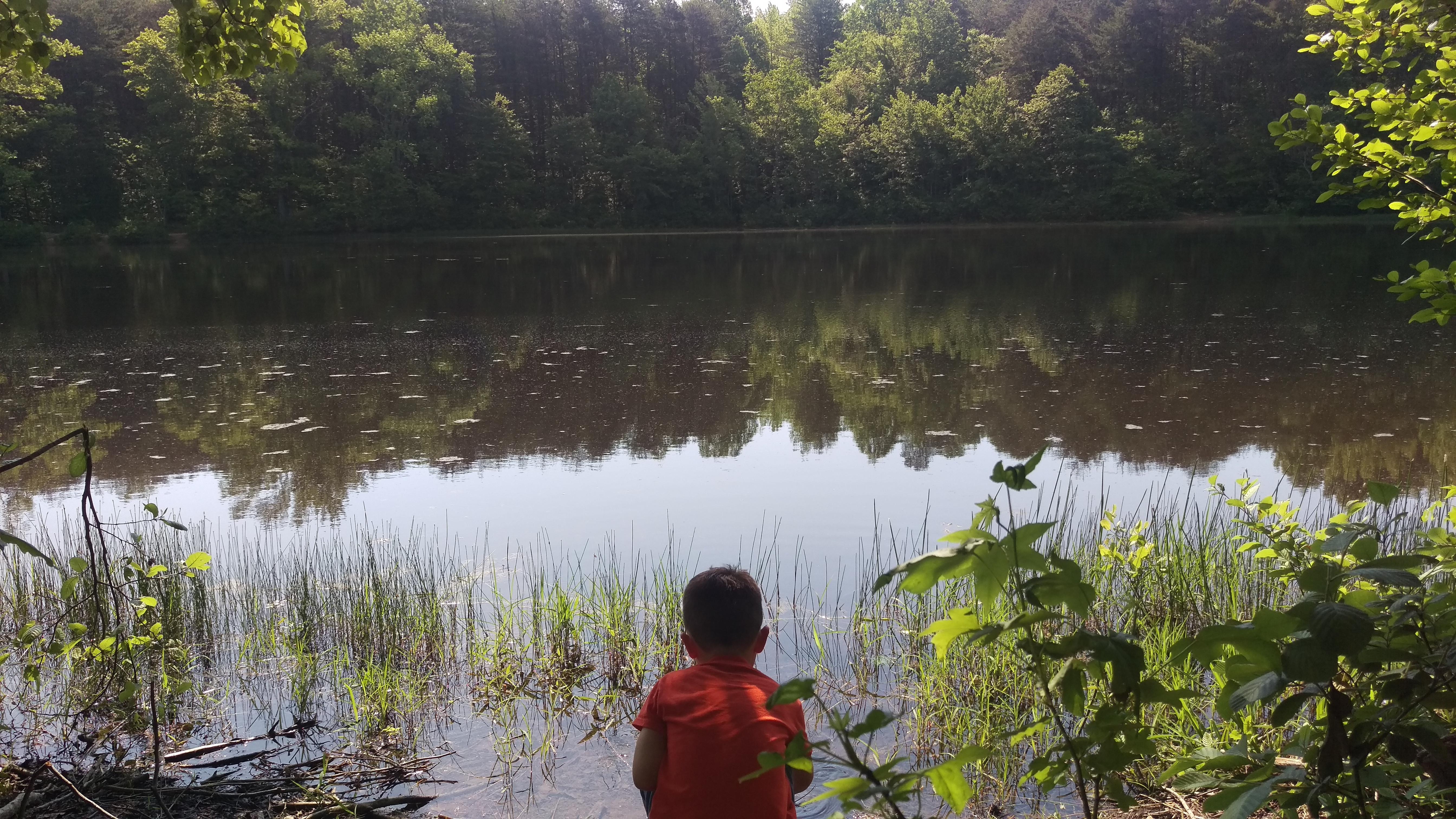 The lake trail at Crowders Mtn State Park r/NCTrails