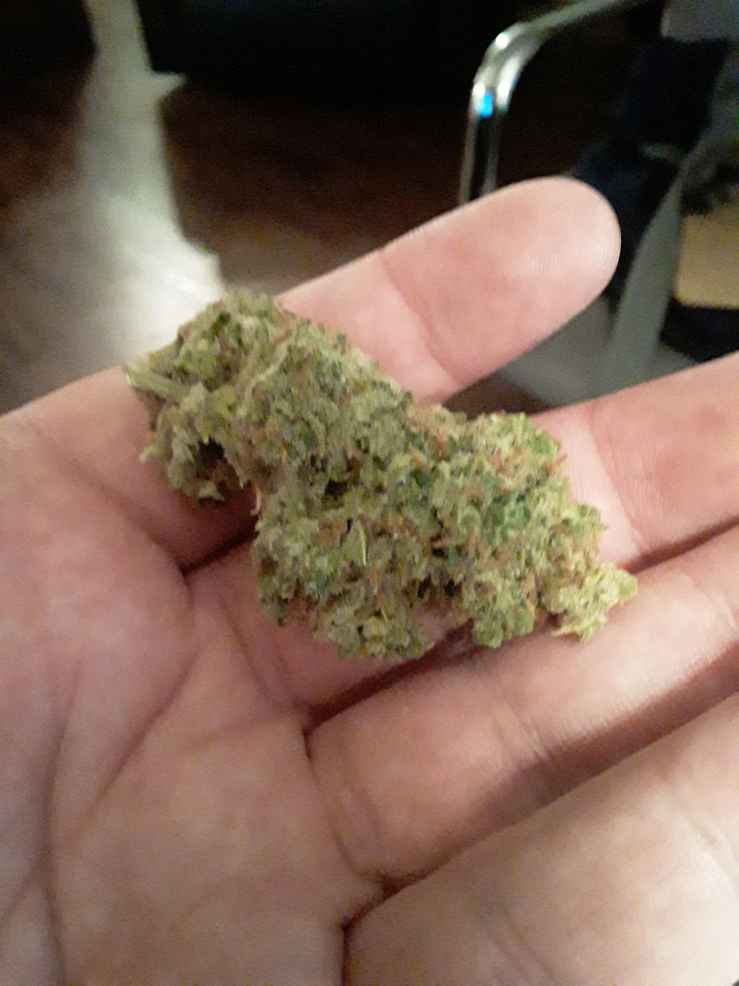 Empyrean Mint from Greenlight Dispensary r/MissouriMedical