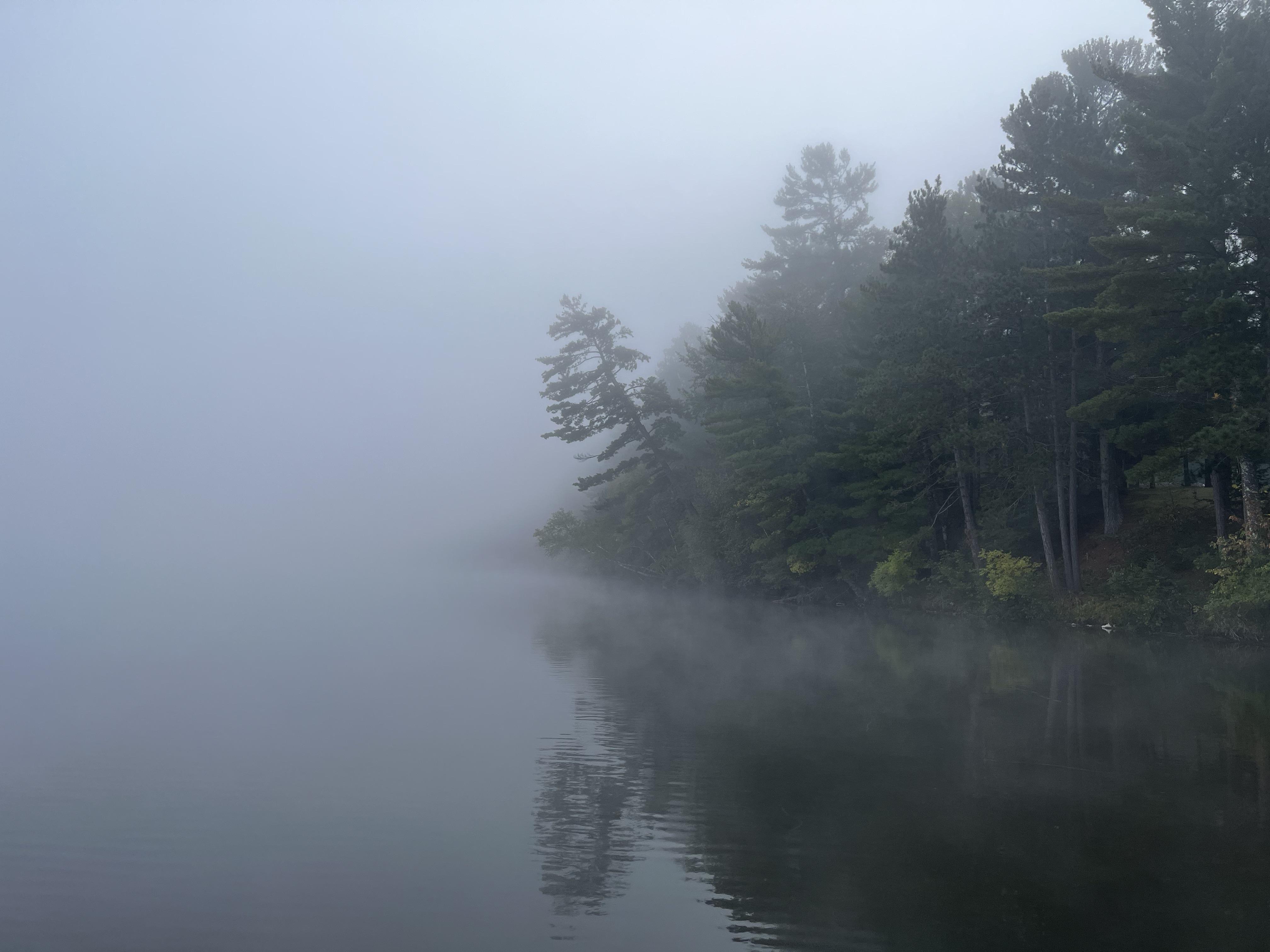 Upper Eau Claire Lake, Northern Wisconsin [OC] [4023x3024] r/EarthPorn