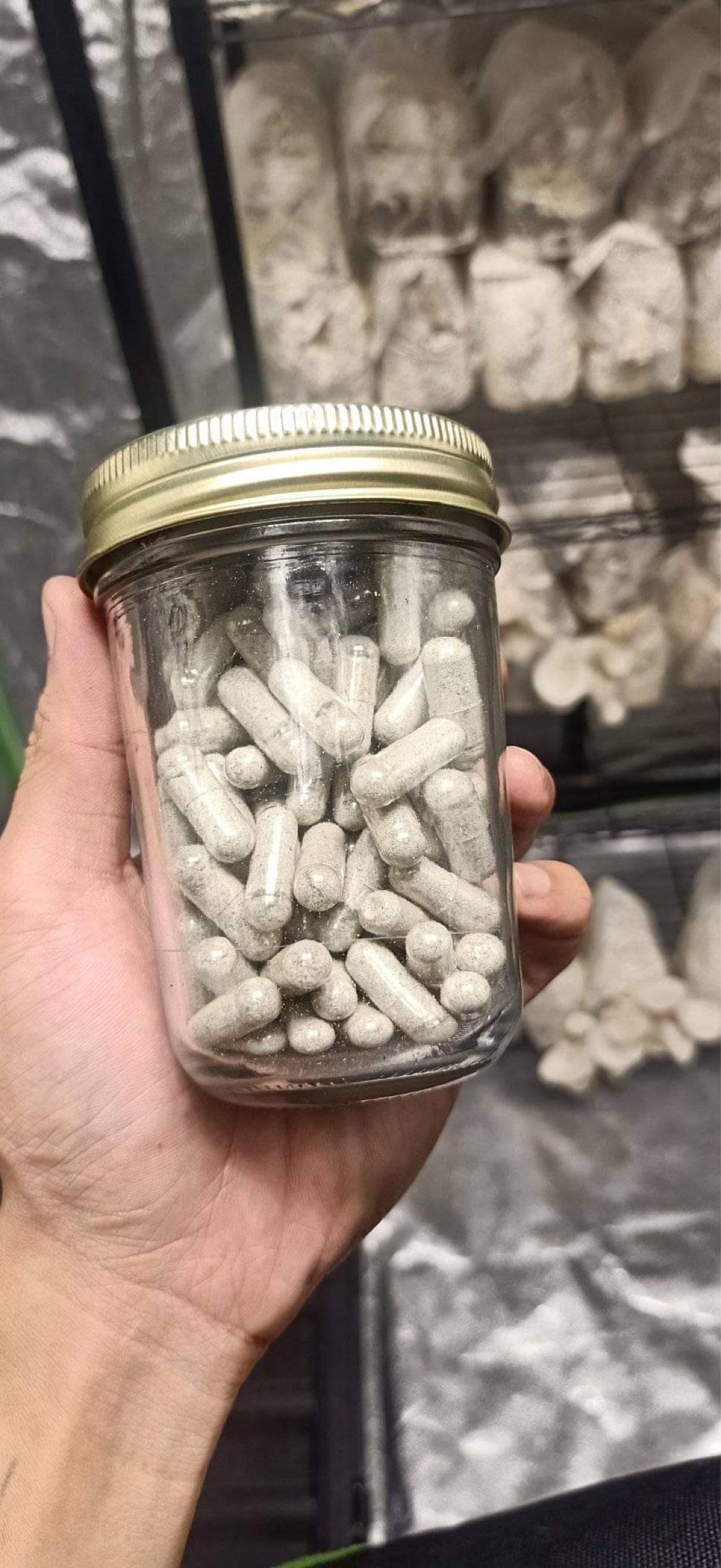 Microdosing Magic Mushroom Capsules for my anxiety CasualPH