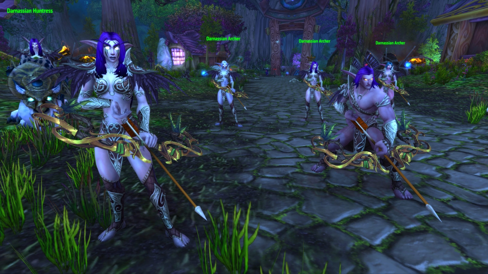 Night Elf heritage armor is in game and ready to go wow