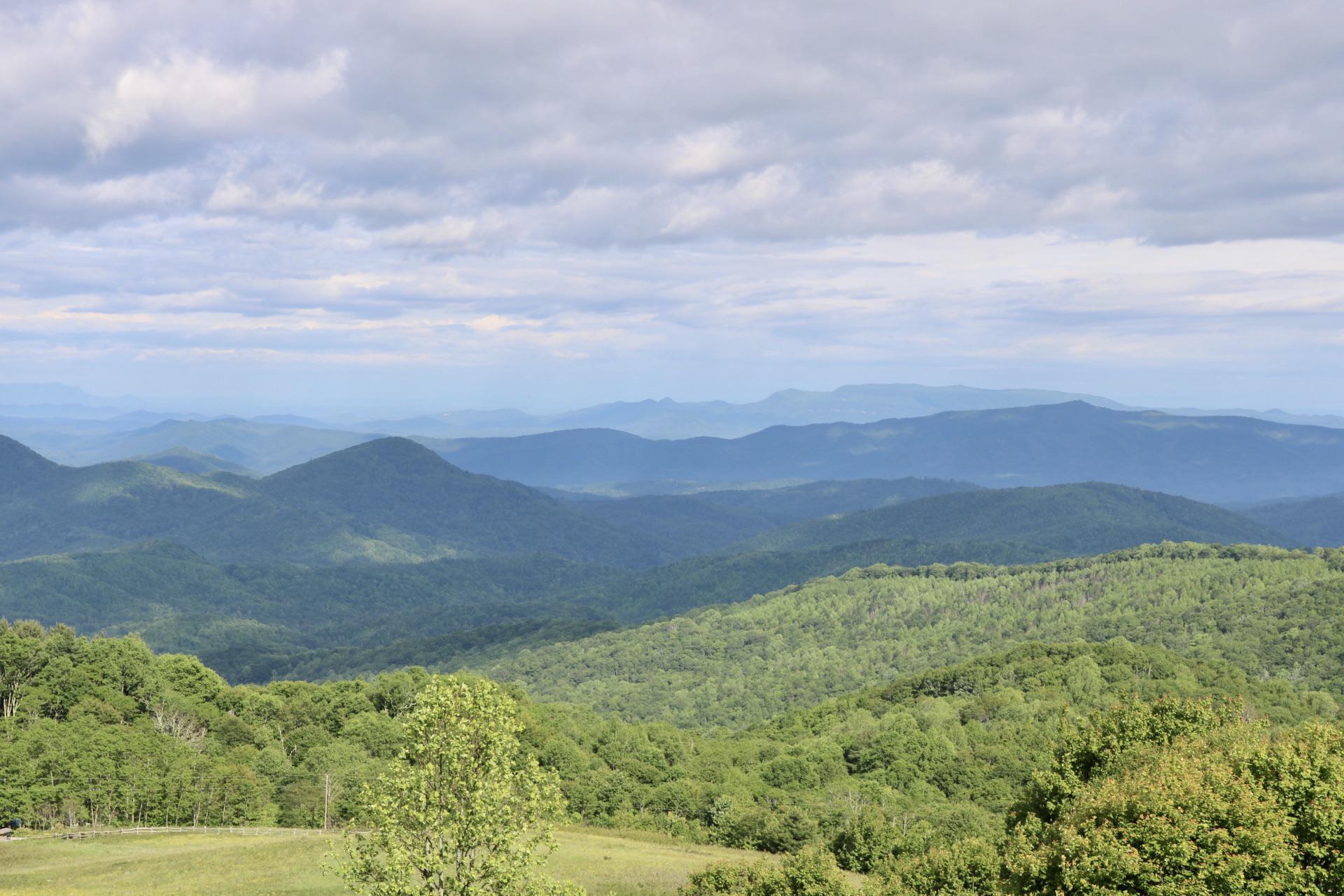 Spring Creek, NC (1920 x 1280) OC r/EarthPorn