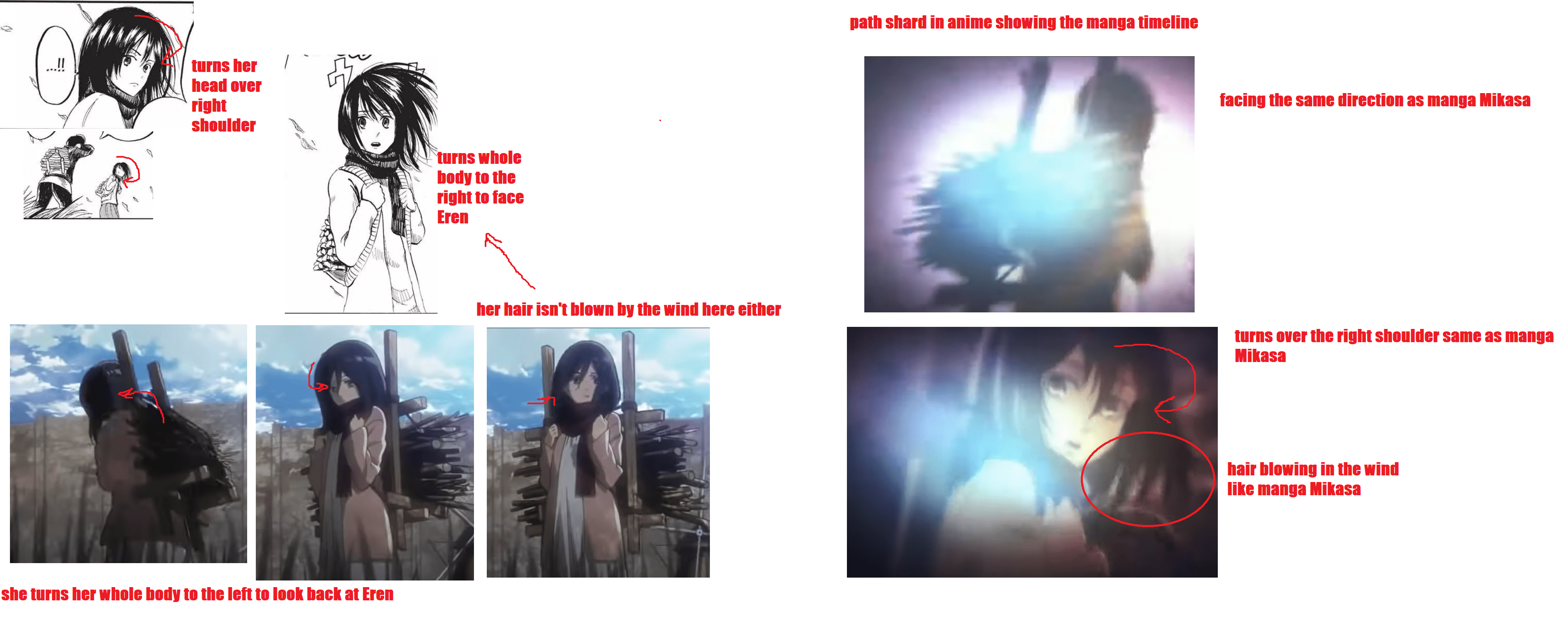 first path shard of mikasa shows manga timeline. scarf color doesnt