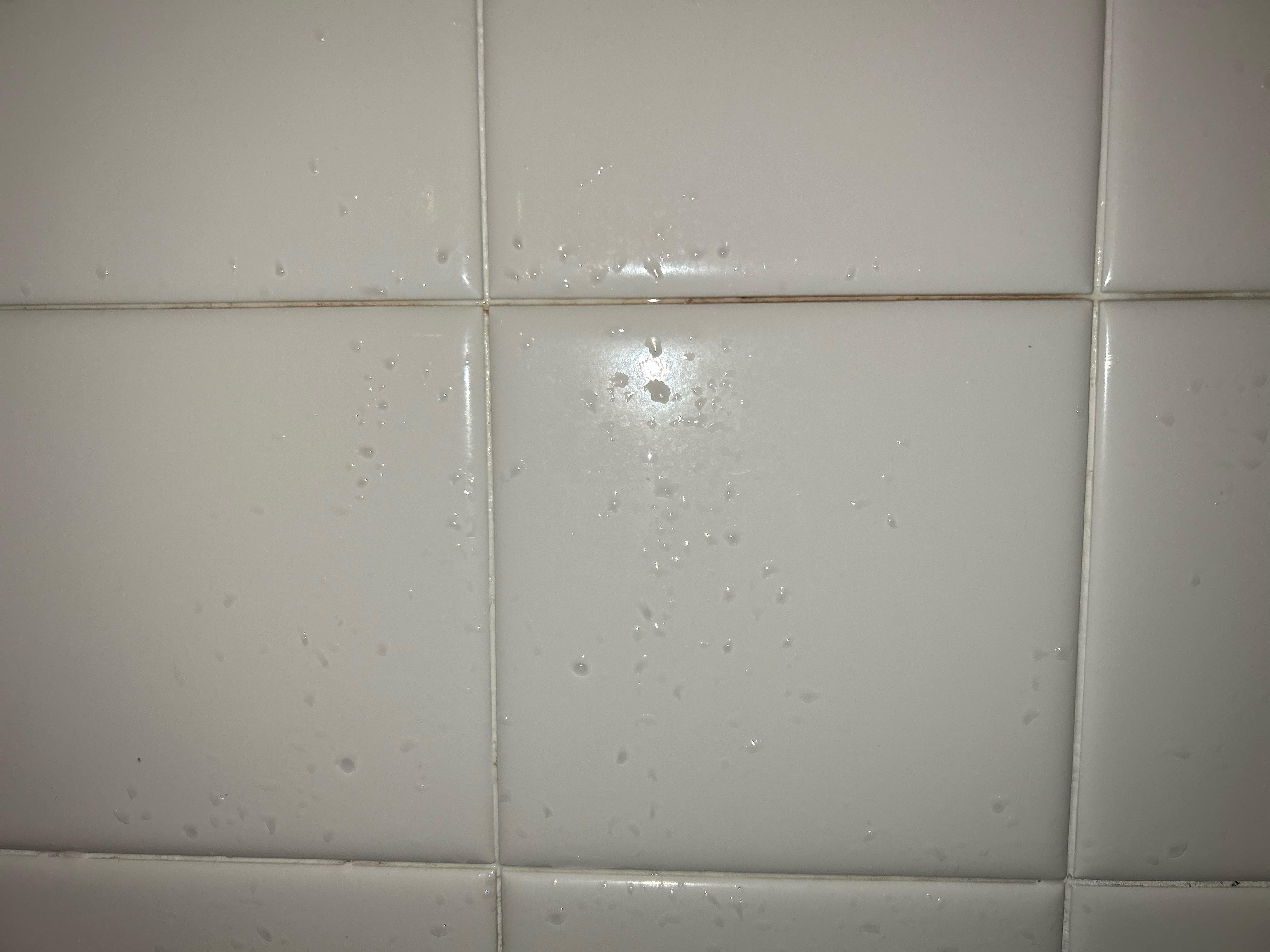 Mold/mildew on reglazed tile r/CleaningTips