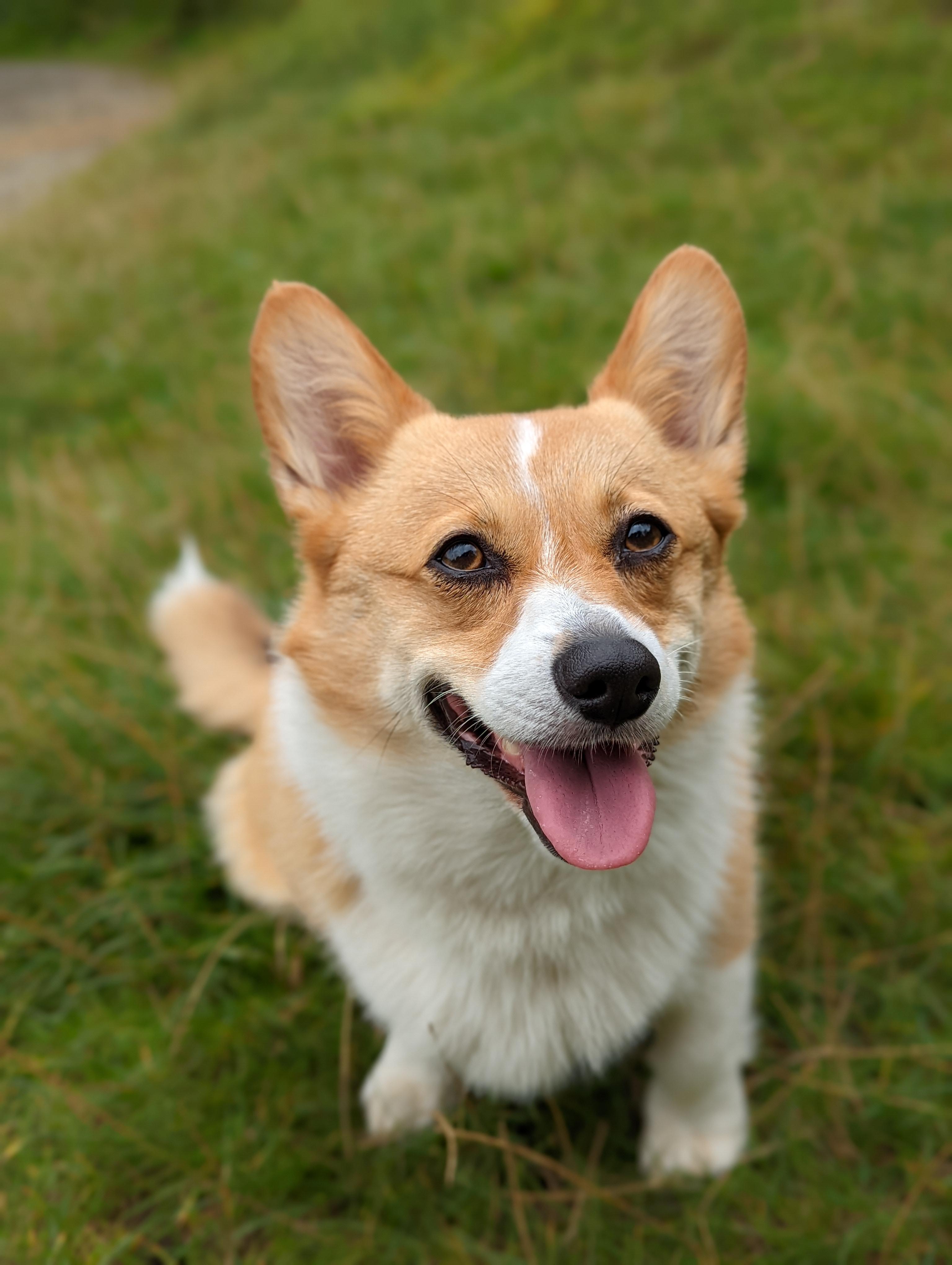 actually low jealous at how photogenic she is