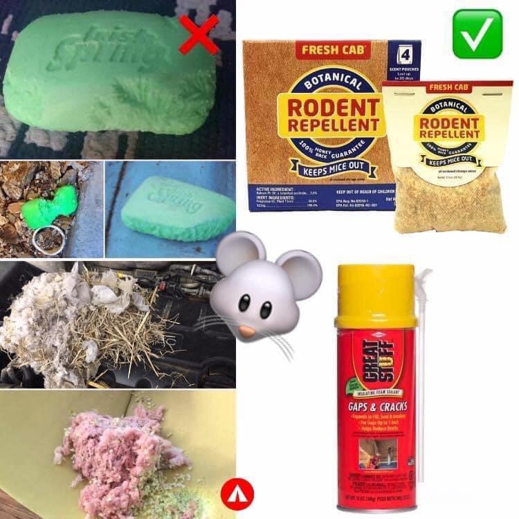 No yoking campers! Dried Egg product work and taste great