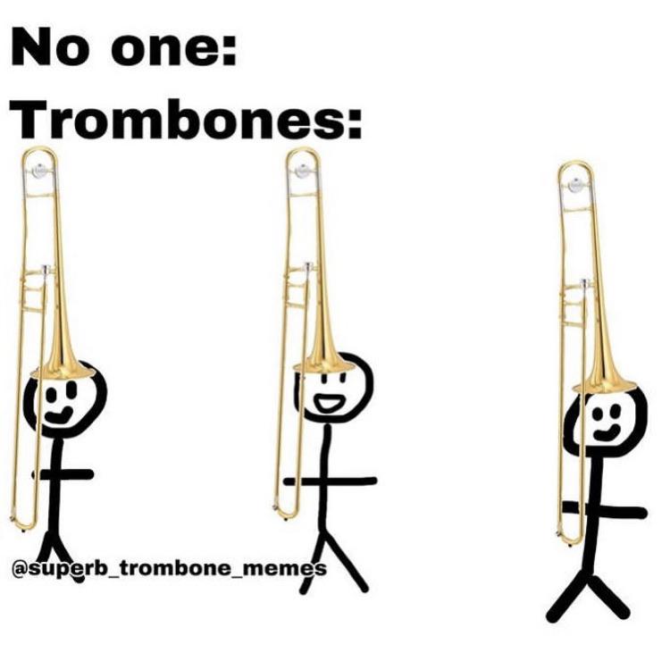 i do this with my tuba r/Bandmemes