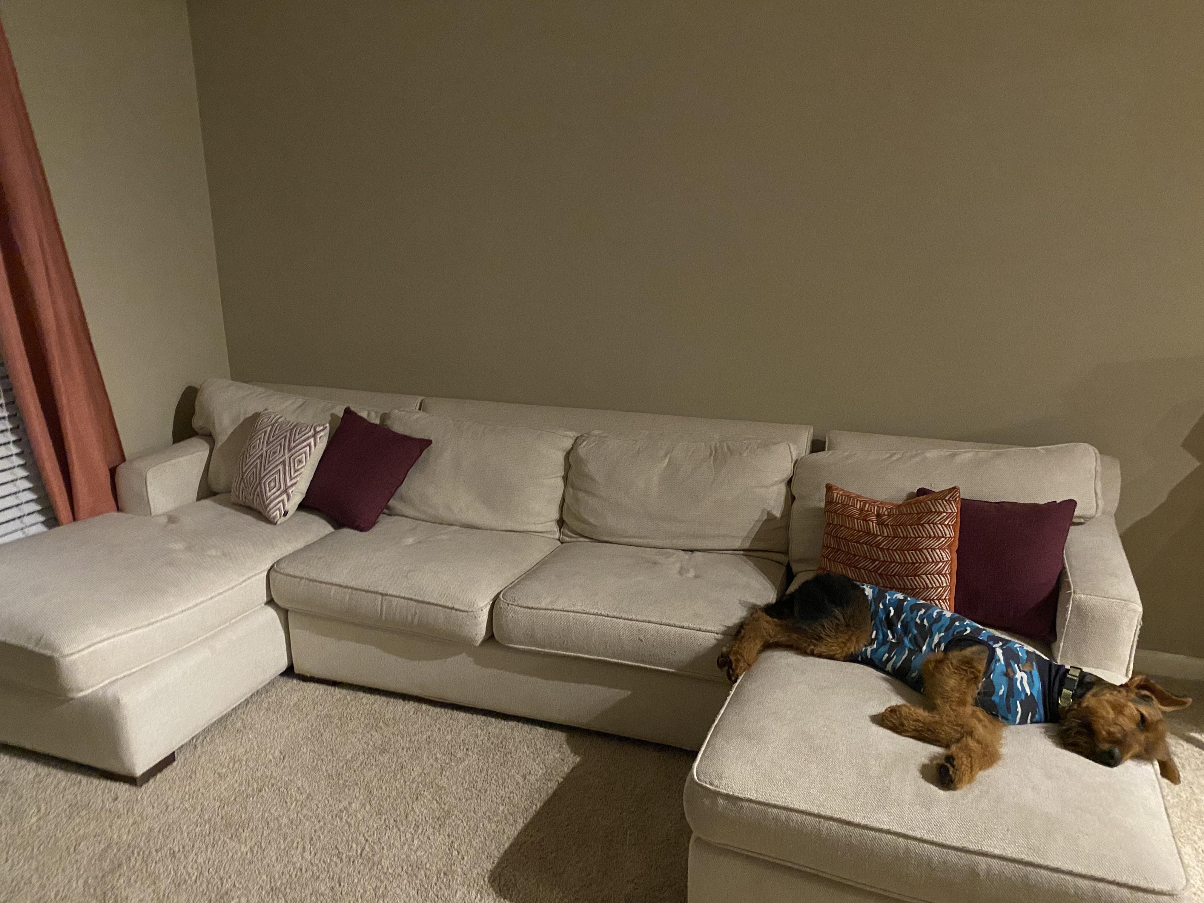 Arhaus couch (originally 5500) for 375 off Craigslist. It was pretty