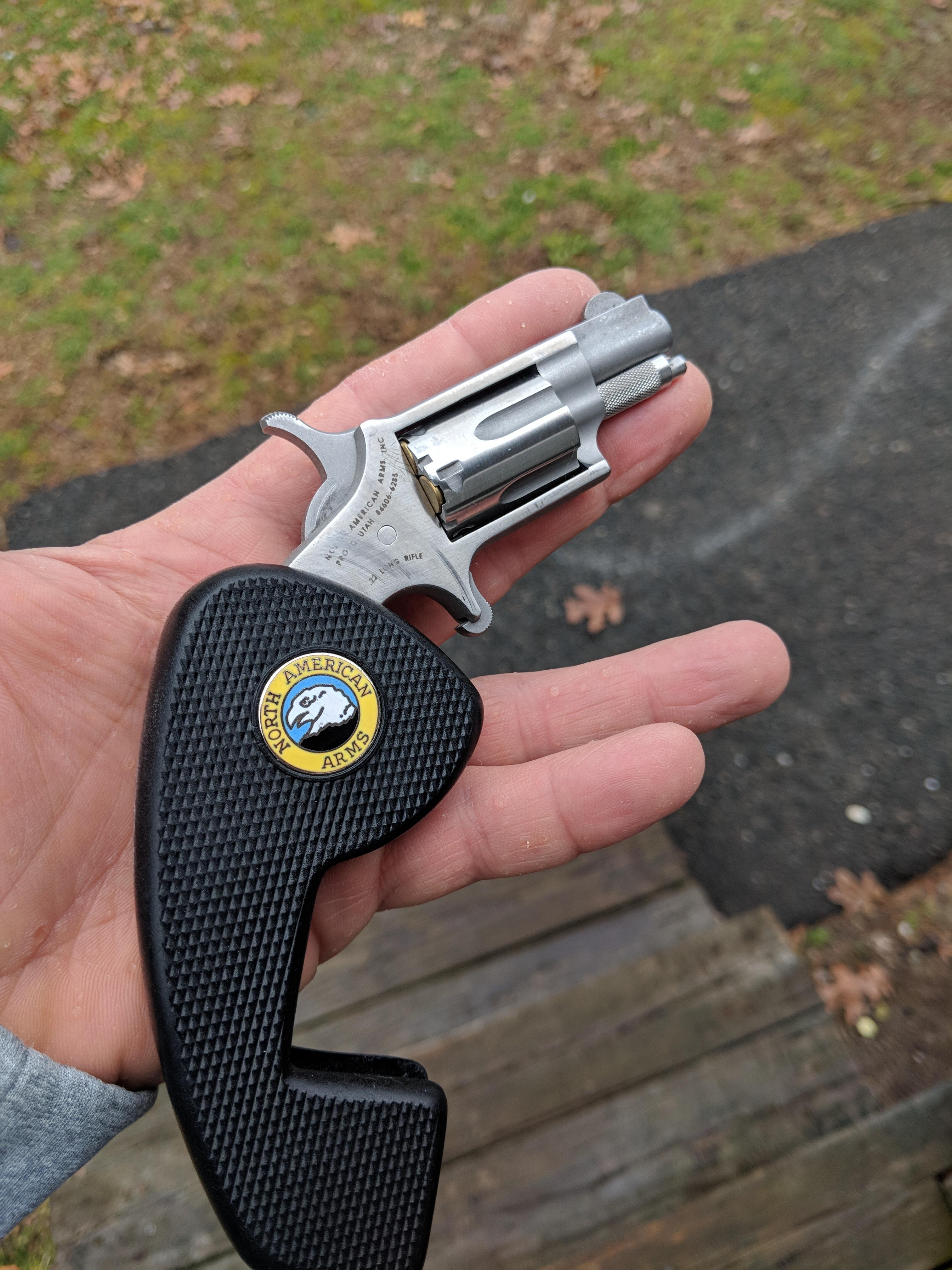 NAA mini 22 folding grip r/PocketGuns