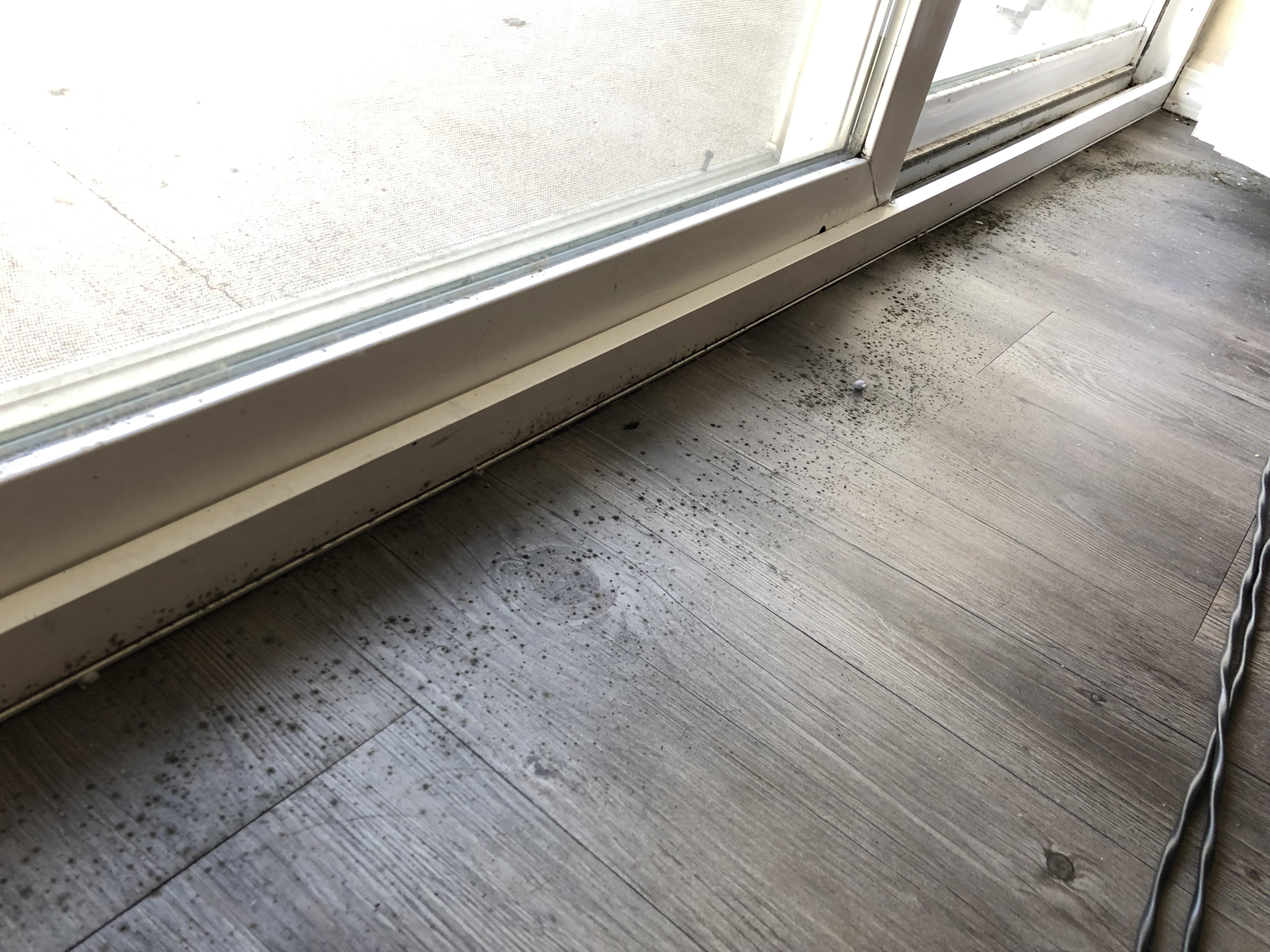 Could this be mold next to my sliding door? If so, why would it be