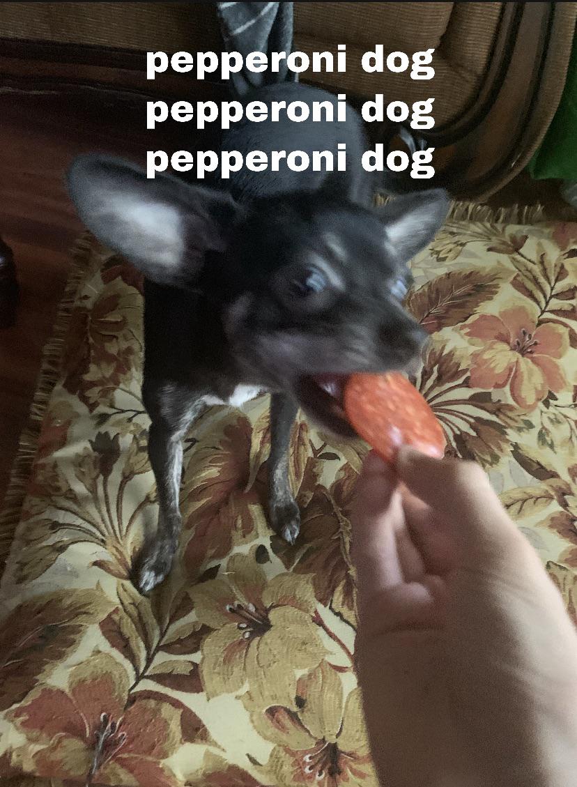 pepperoni dog r/okbuddyretard