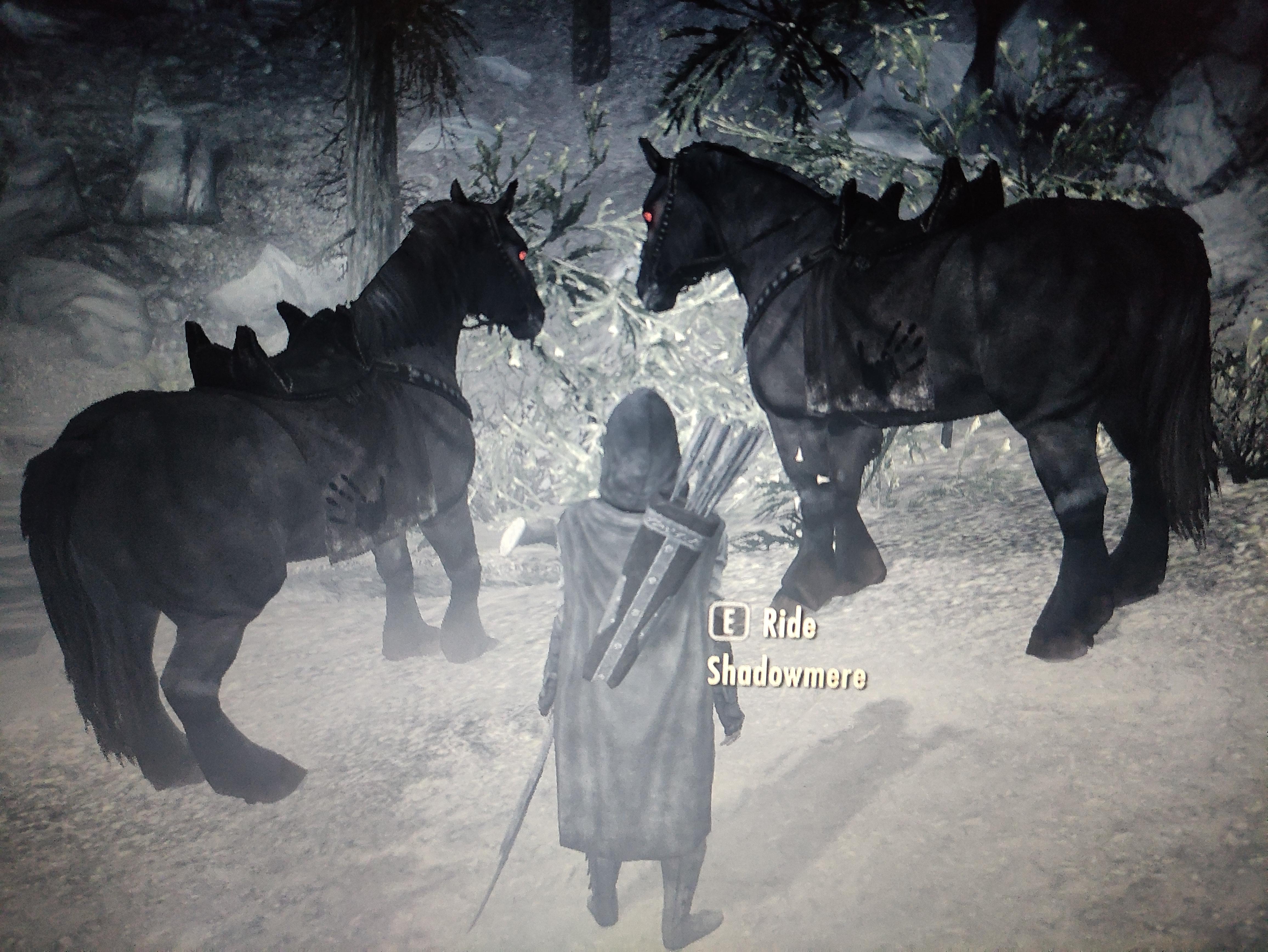 Why do I have 2 Shadowmere's???😂😂 r/skyrim