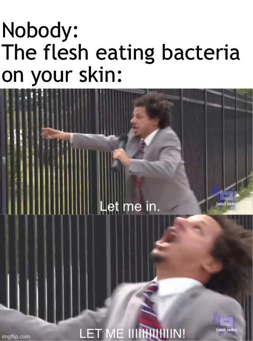 Do NOT start scratching if this makes you feel itchy r/distressingmemes