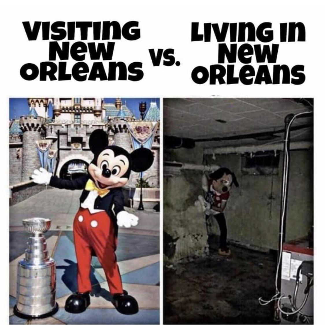 I still love living in New Orleans though. r/ExpectationVsReality