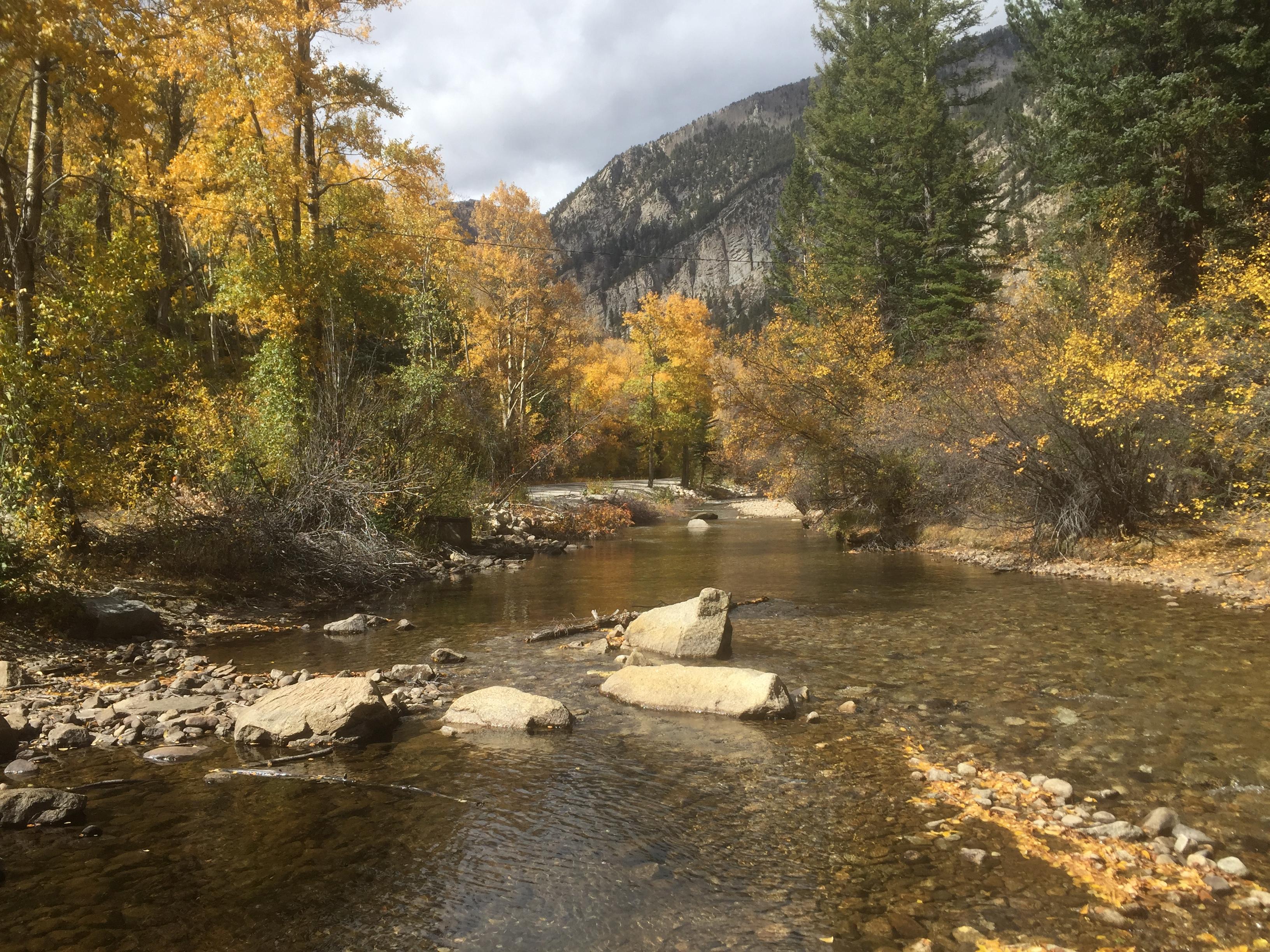 Fall color at Chalk Creek, by St, Elmo, Chaffee County r/Colorado