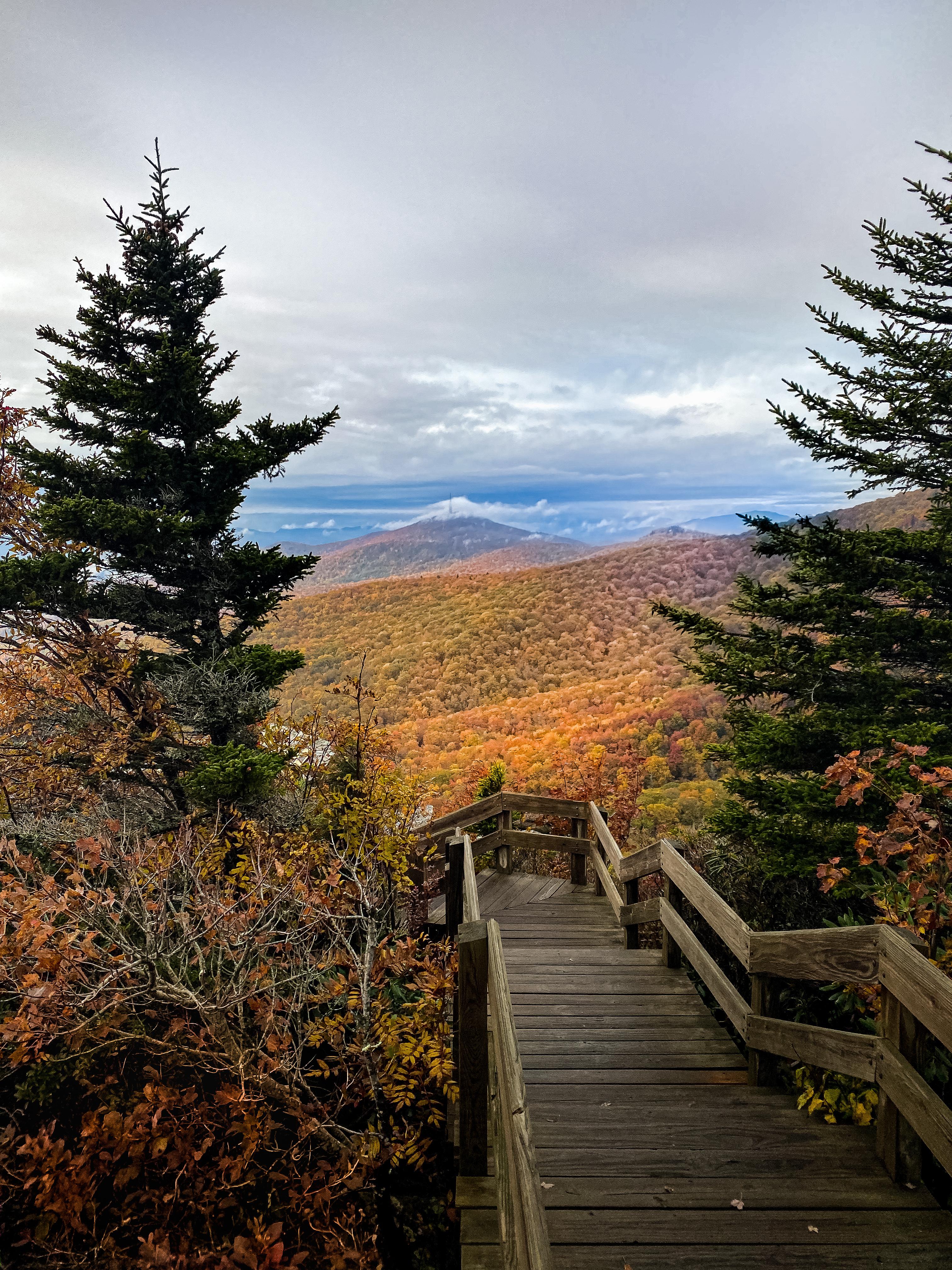 Rough Ridge Blue Ridge Parkway NC r/hiking