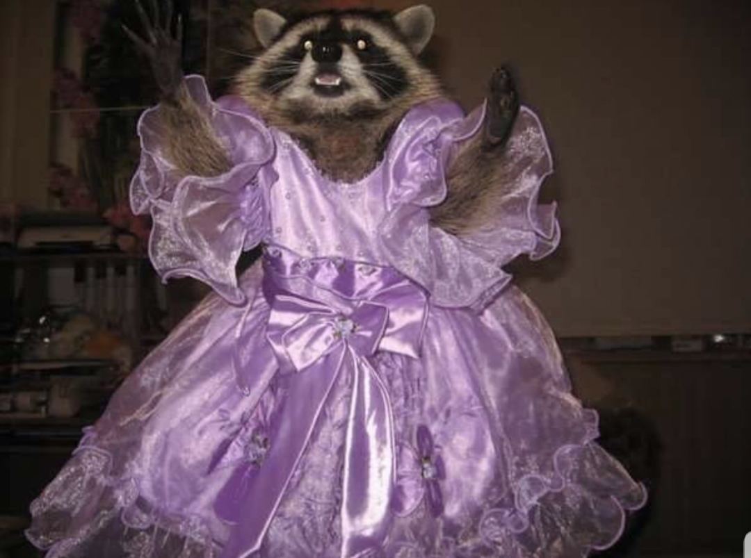 Thanks, i love raccoon dress r/TILI