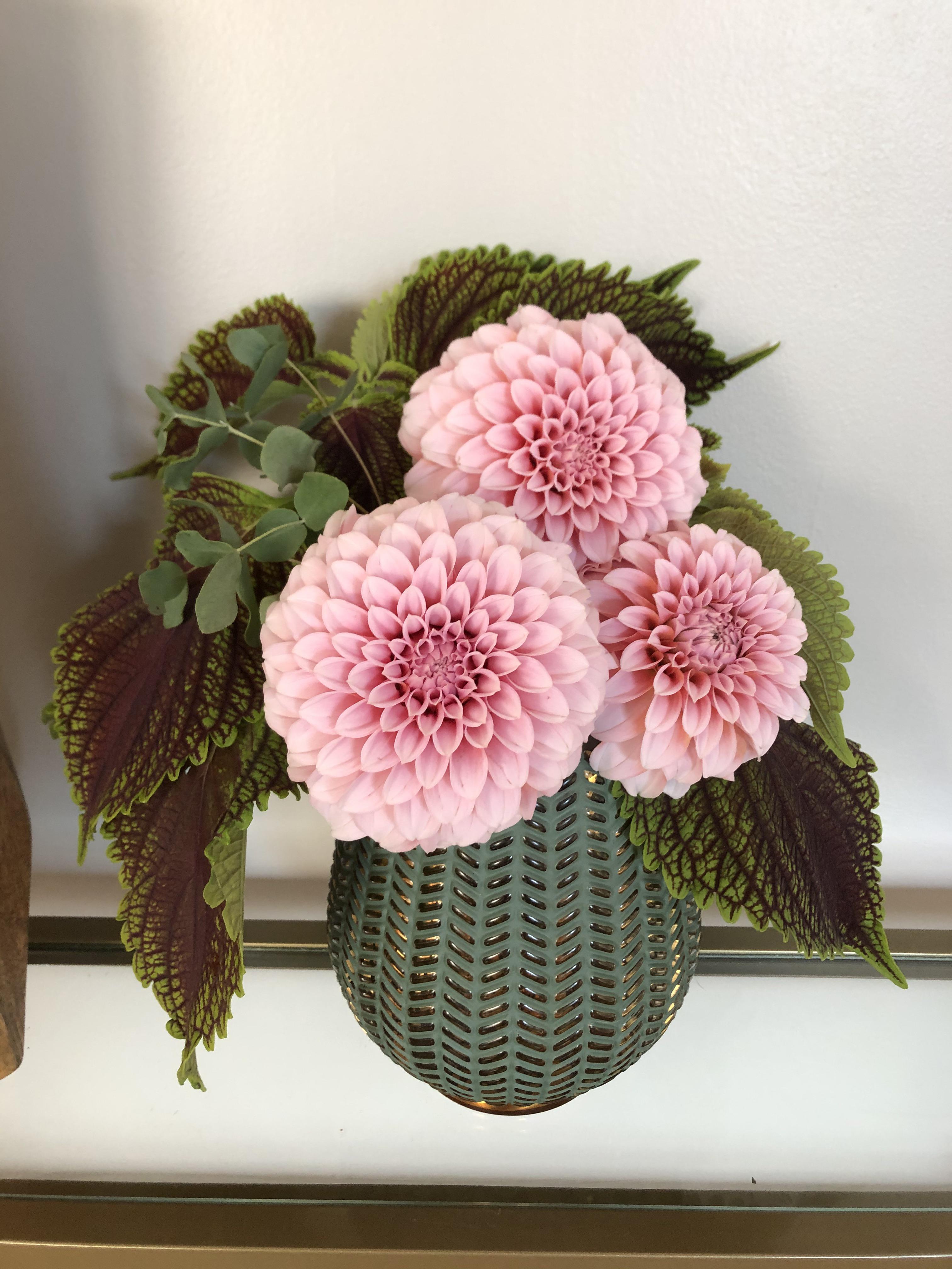 Tried using coleus as a filler for a bouquet and I like how unique it