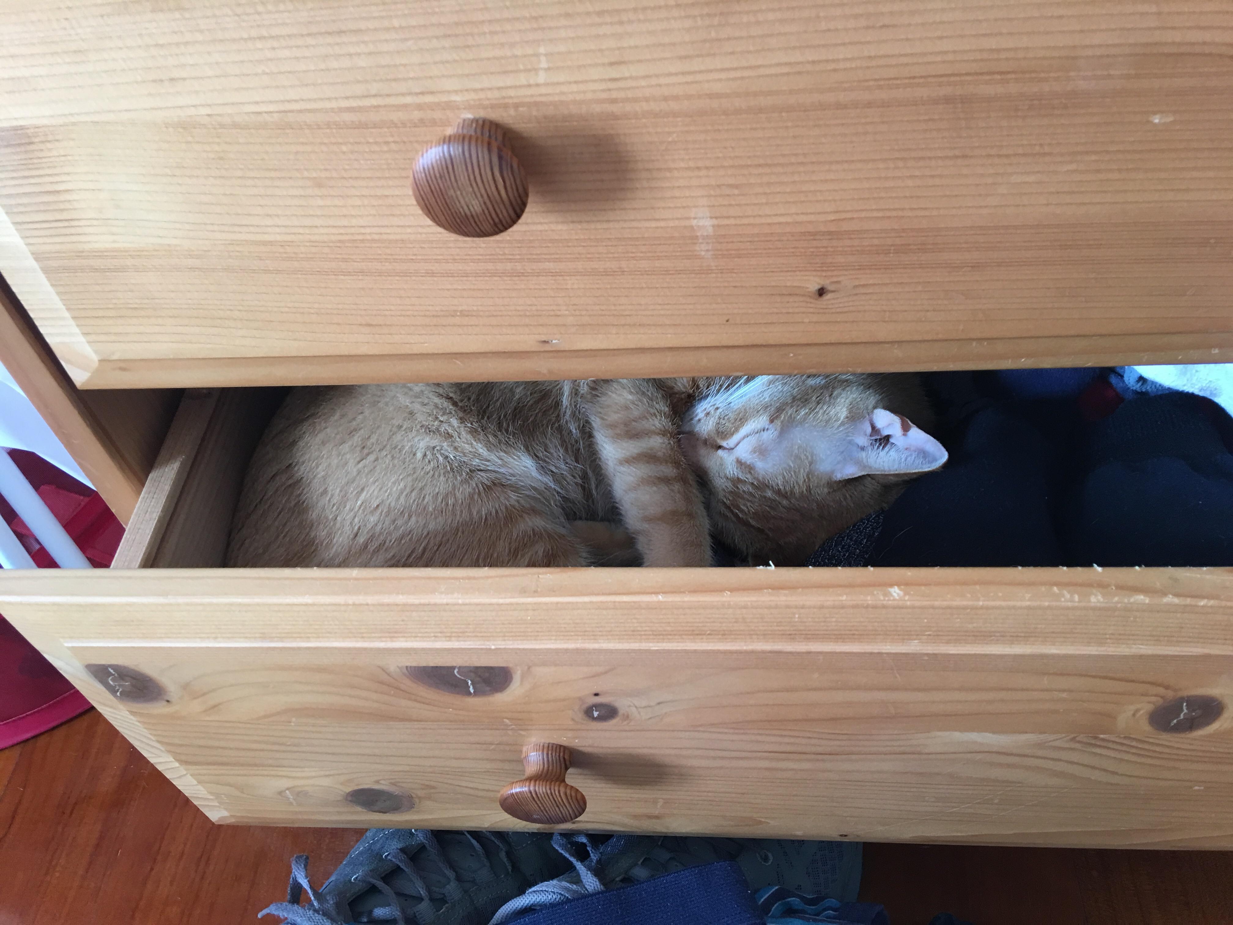 Step 1 open the drawer, Step 2 throw out all my underwear, Step 3