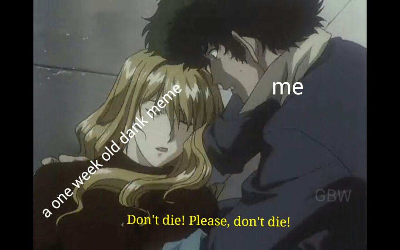 27 Fly Lifespan Meme