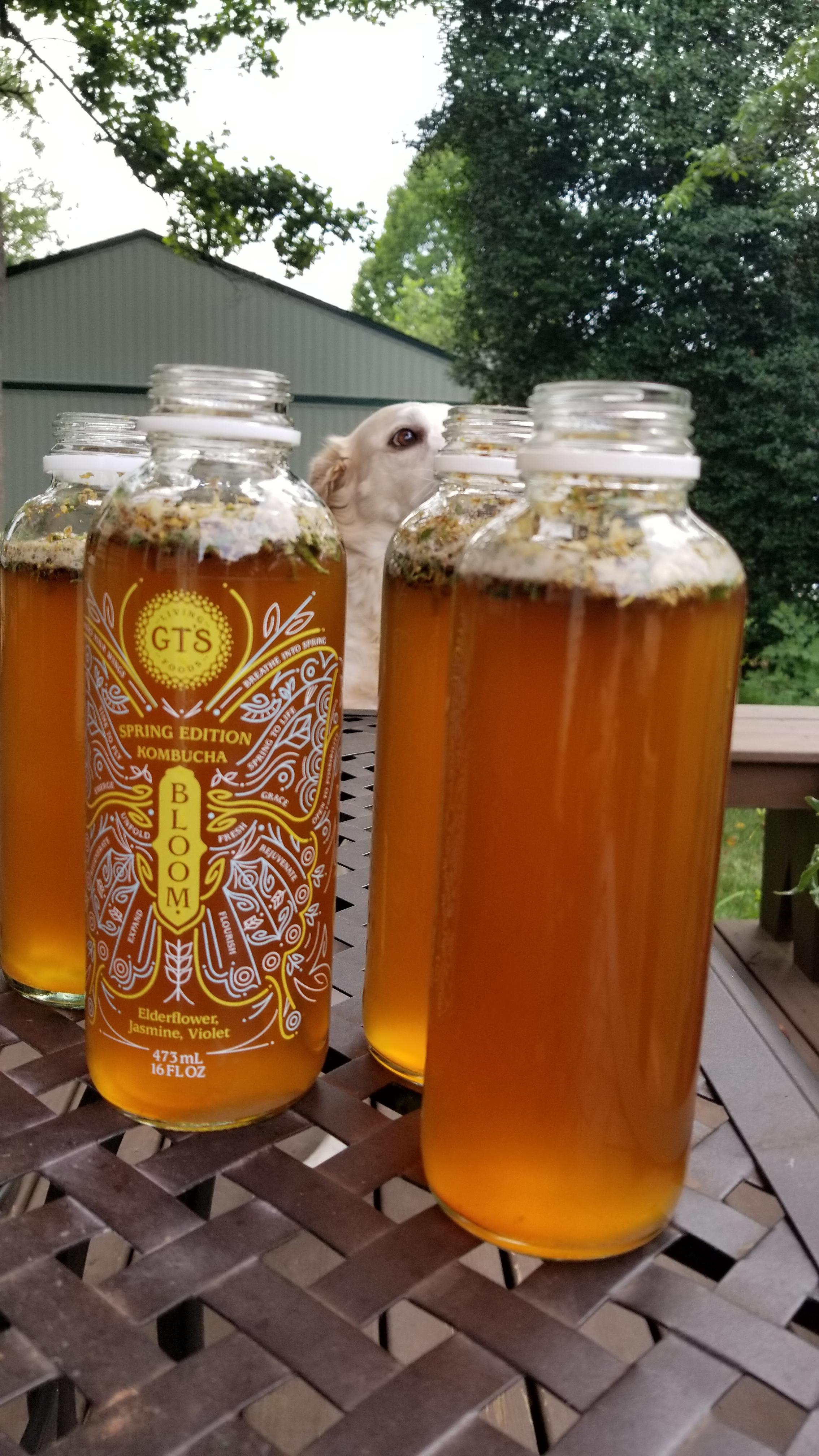 Inspired by GTS Bloom Jasmine, Elder flower and Violet leaf r/Kombucha