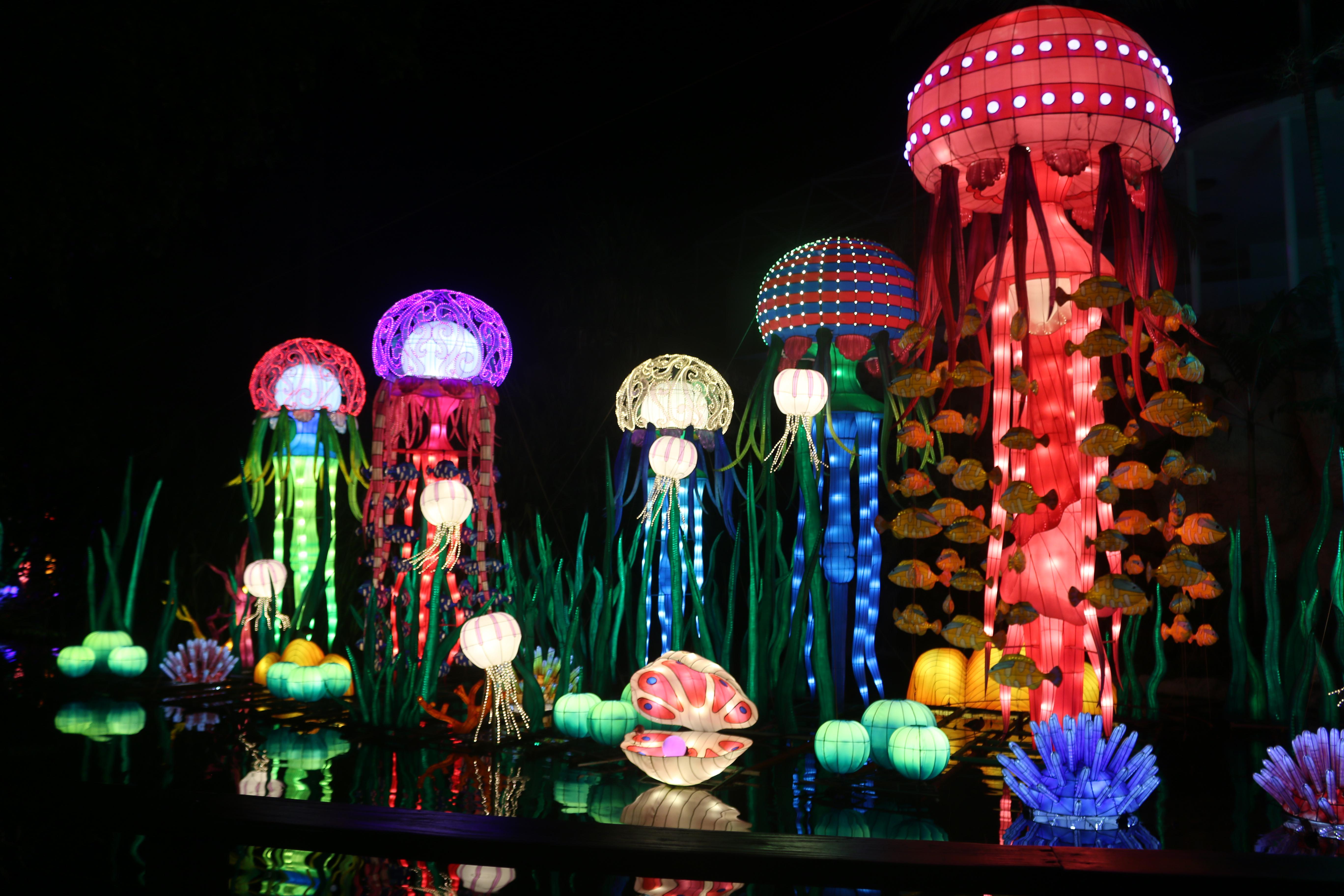 I went to Jungle Island Luminosa Chinese Lantern Festival in Miami