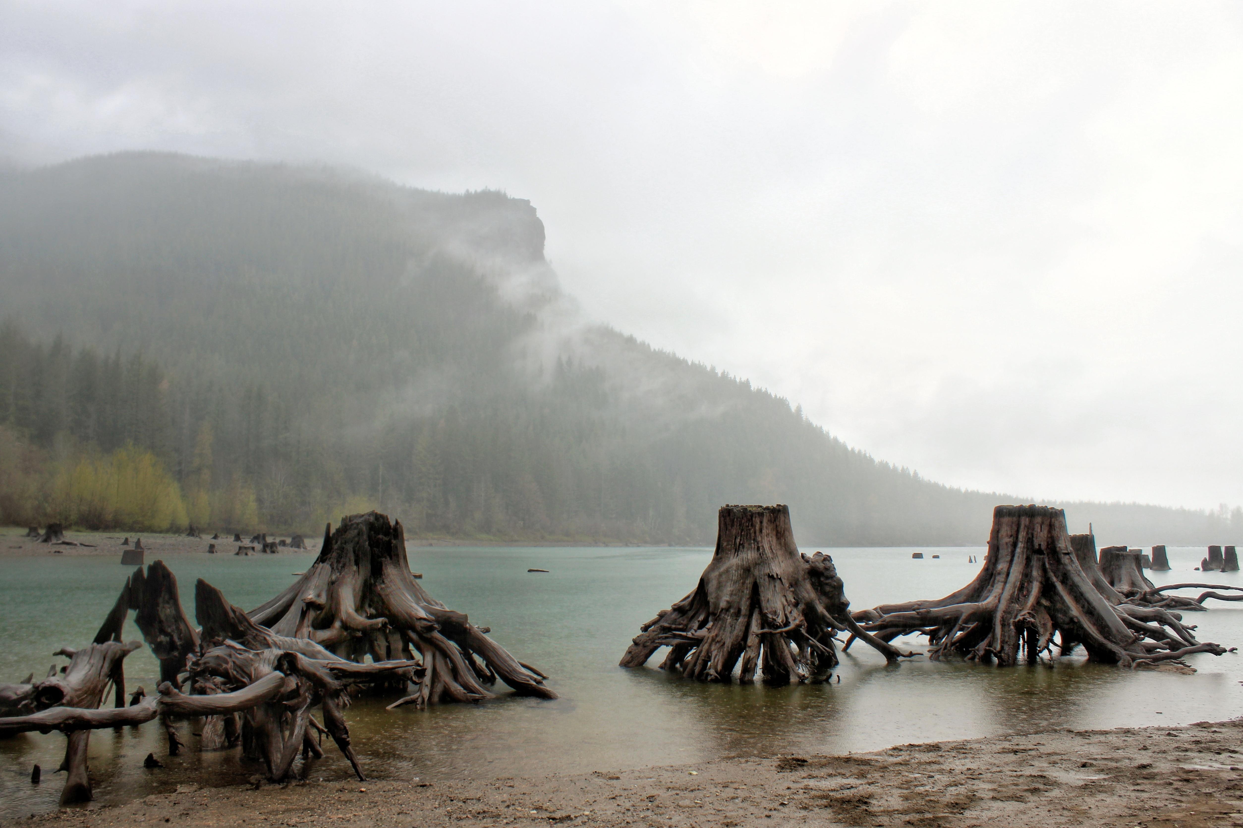 Rattlesnake Lake, North Bend, WA [OC] [5016x3344] r/EarthPorn