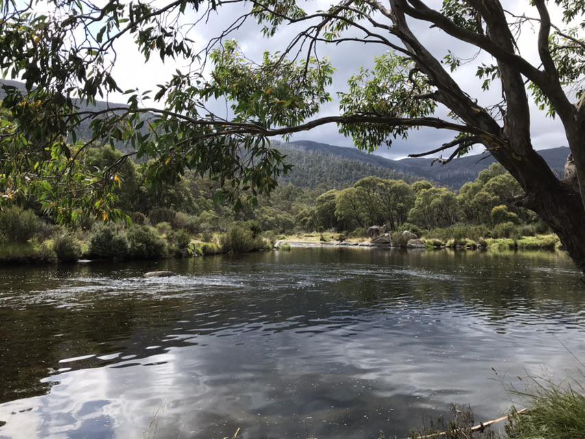 AustraliaThredbo River r/CampingandHiking