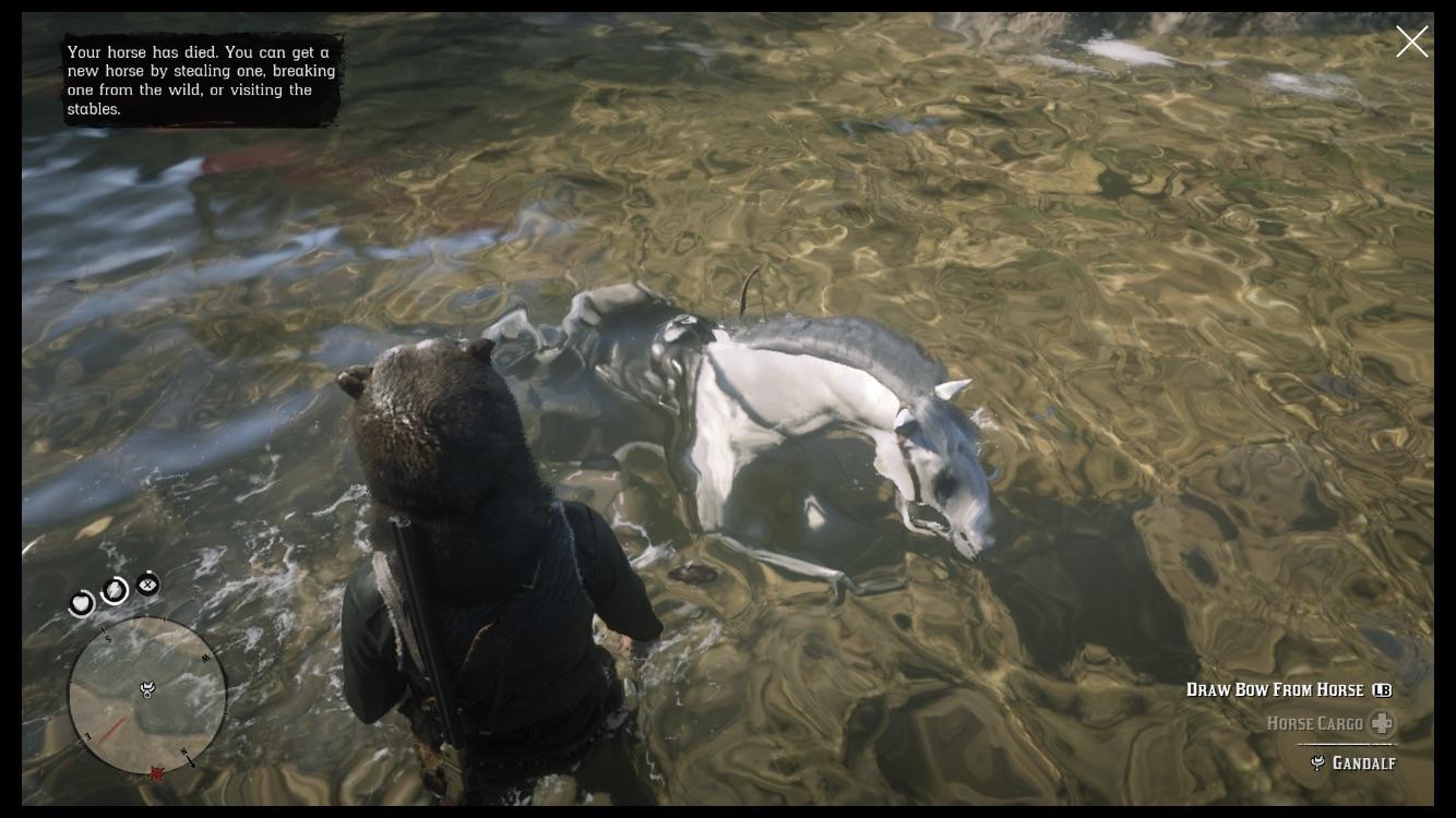 My horse just died in the water while still running but does anybody
