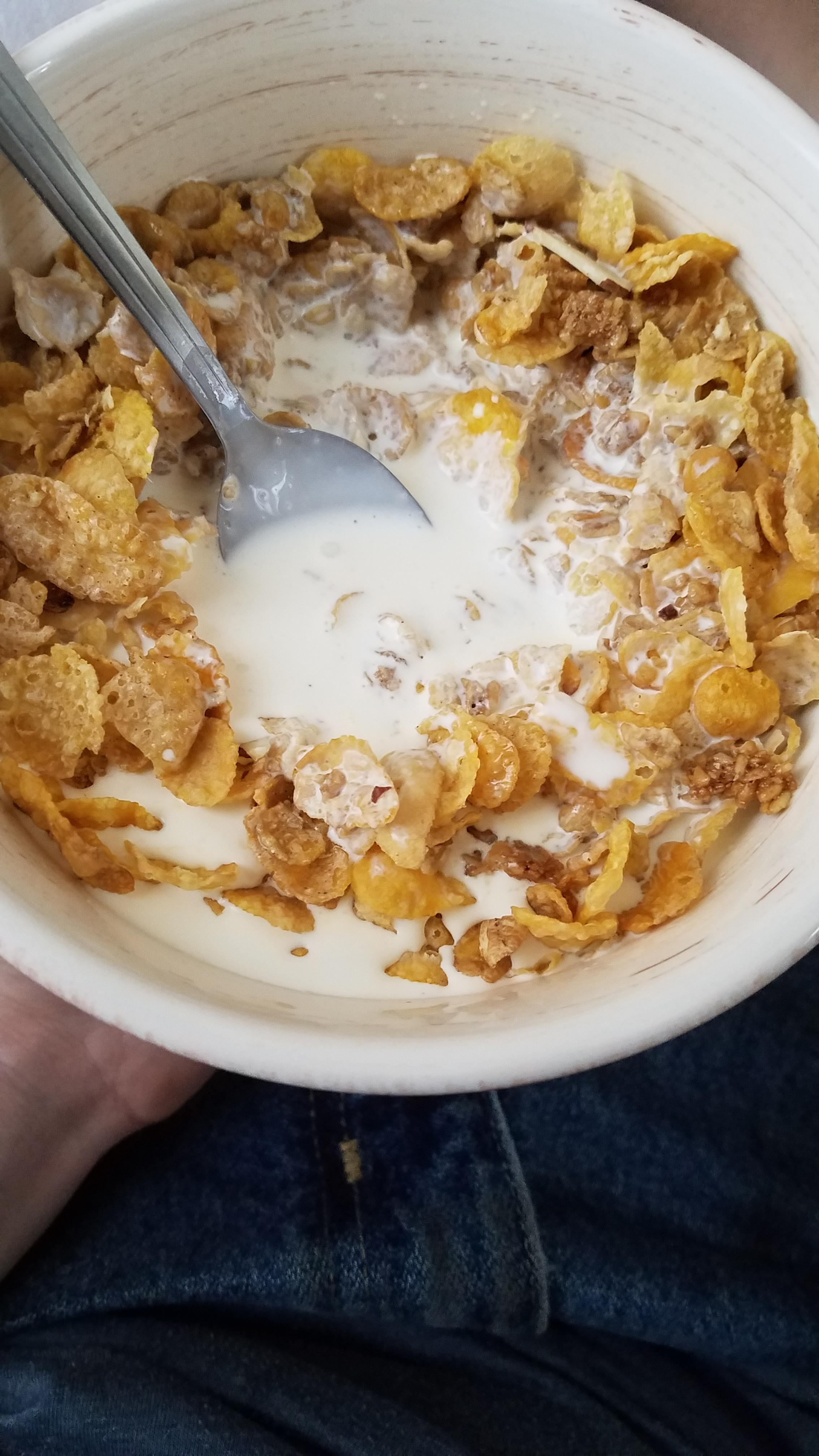 My cereal with heavy whipping cream r/shittyfoodporn
