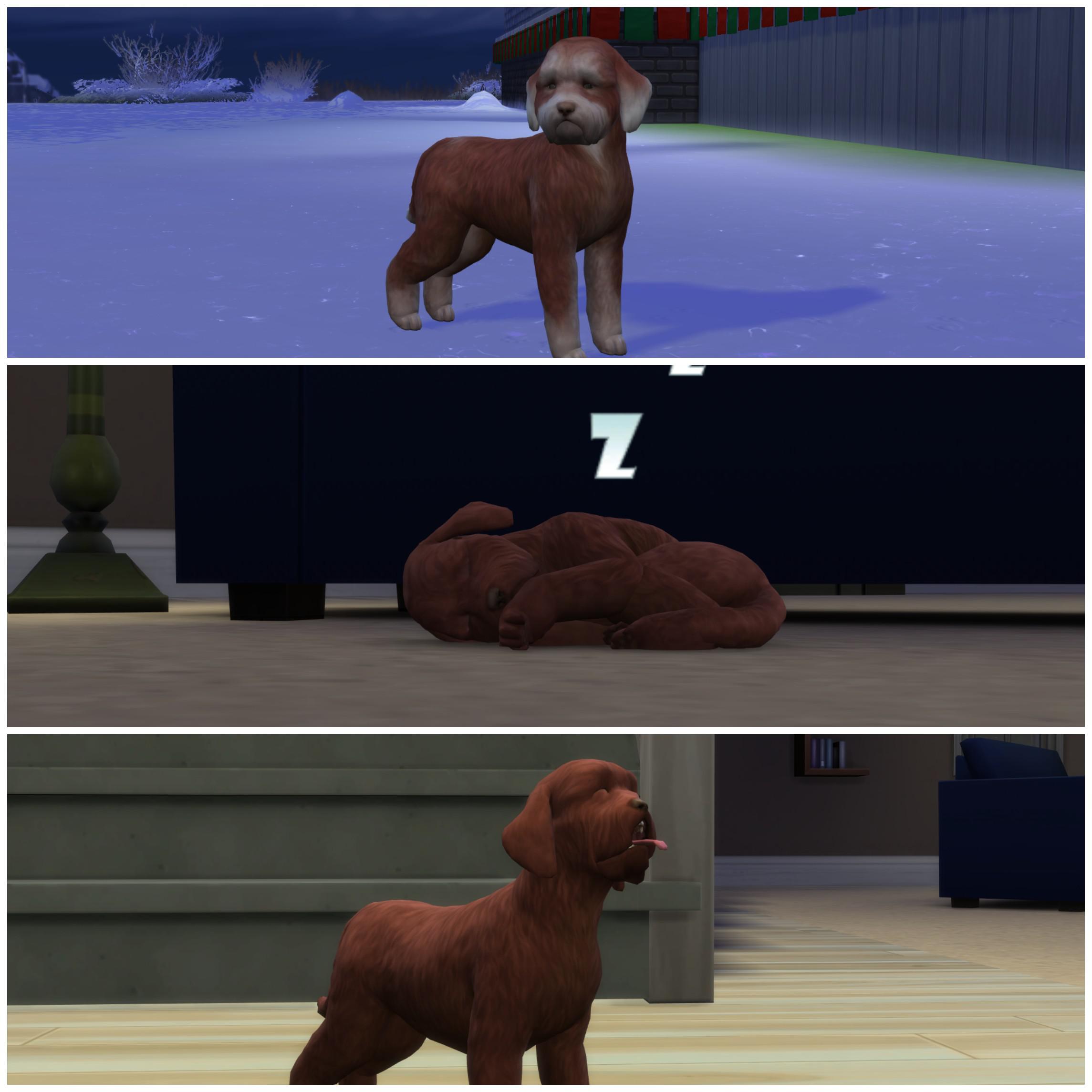 Noodle is the very first dog I created and she just died. I was so