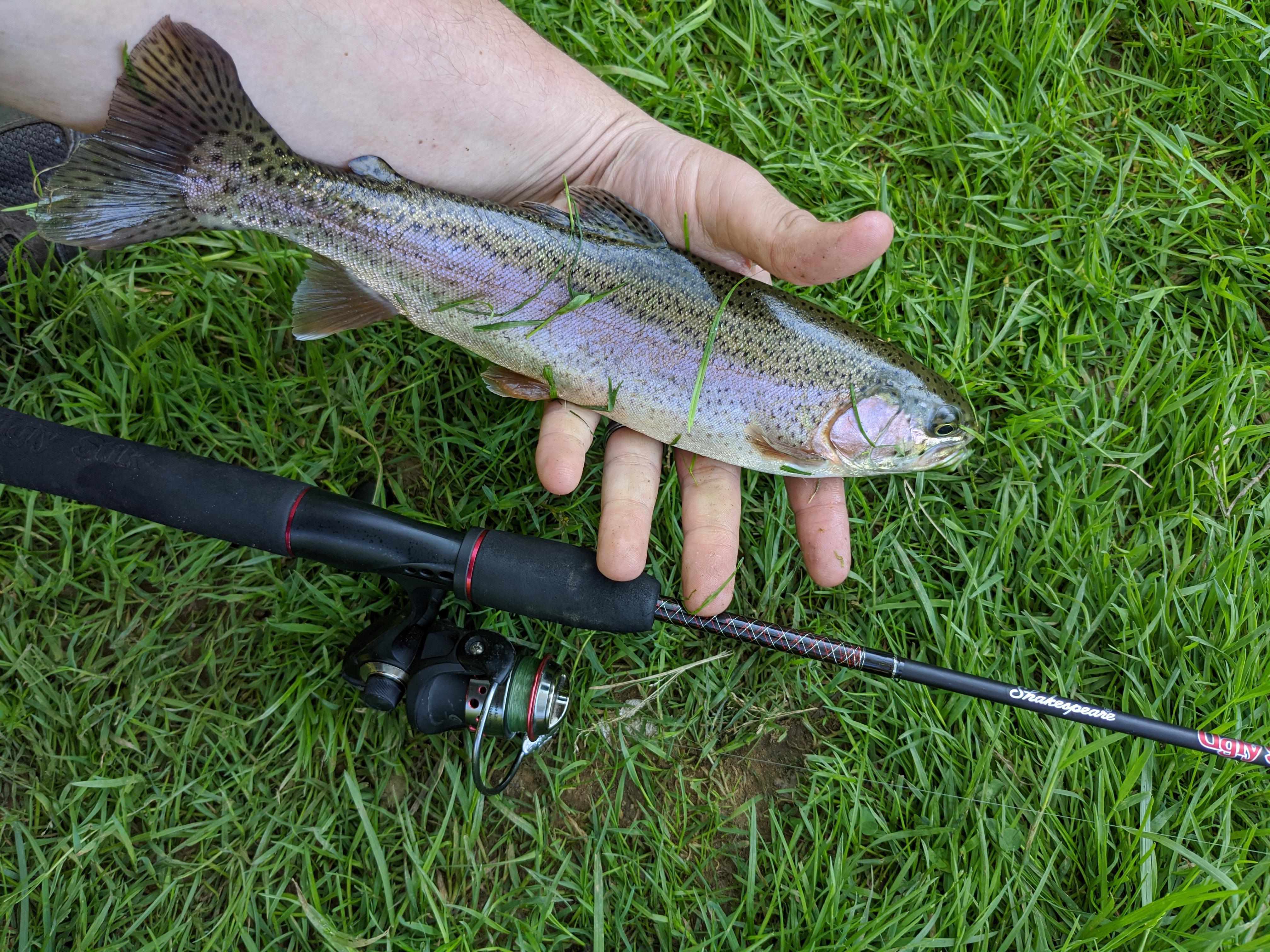 Nice bow in Butler Pennsylvania earlier today r/troutfishing