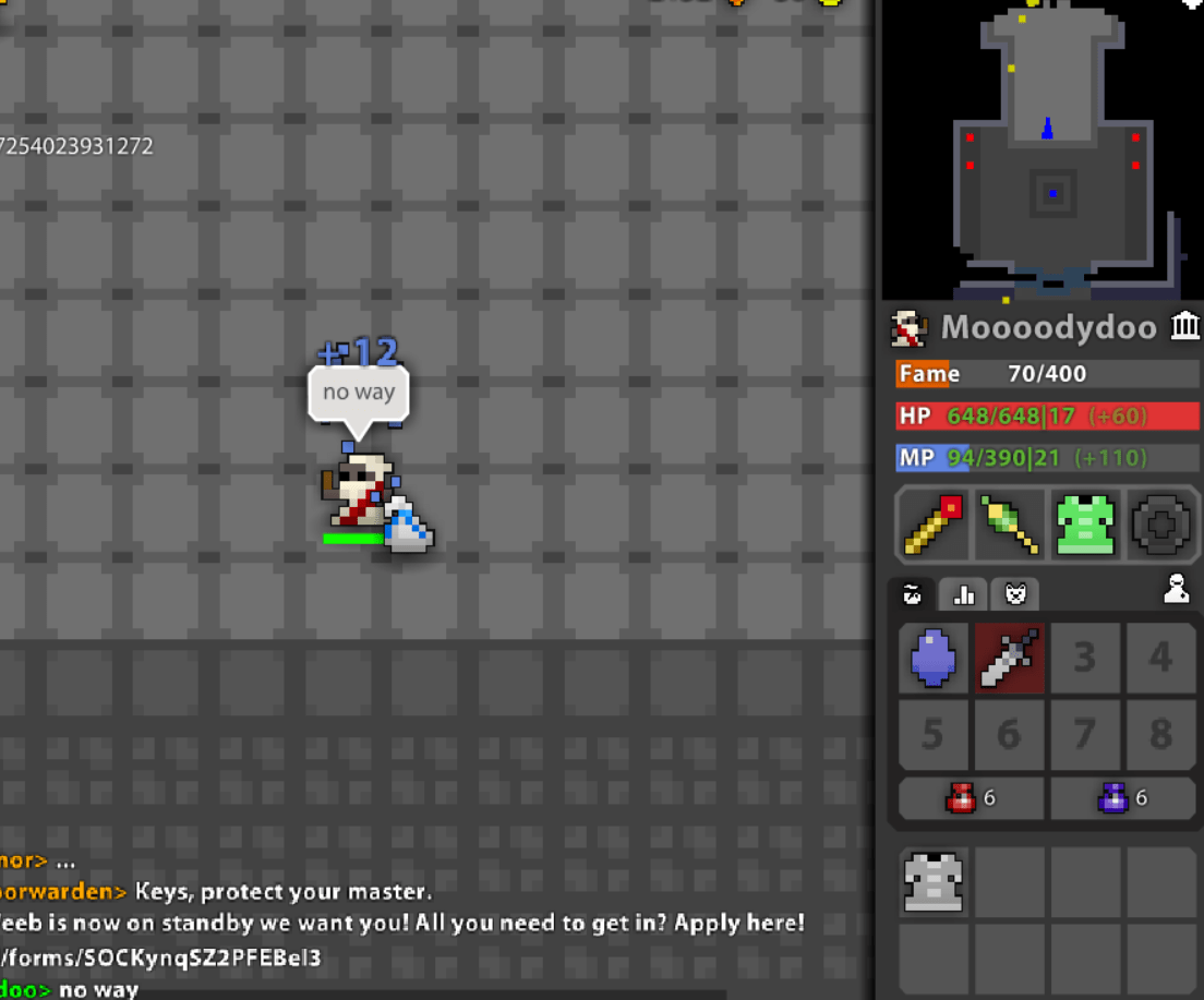 And i was about to brush it off as a pbag with two t9 robes... r/RotMG