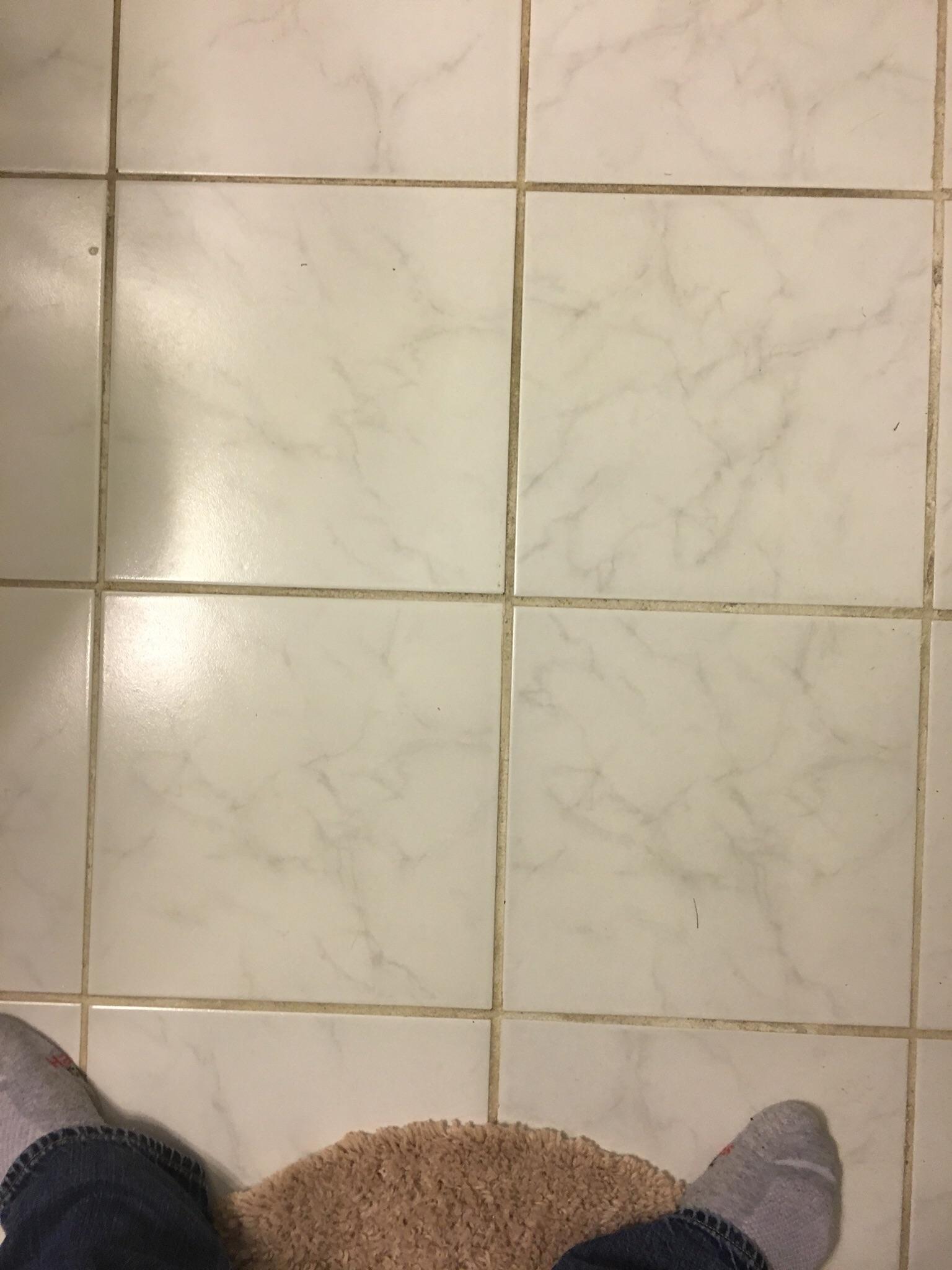 Apparently my bathroom floor is covered in dicks. r/pics