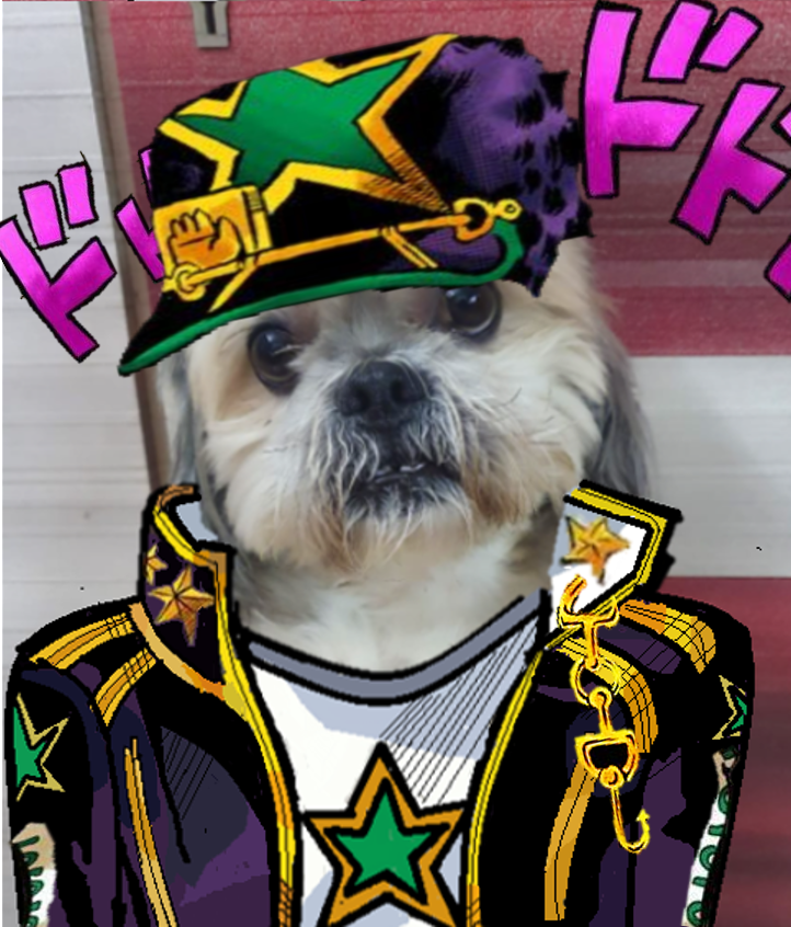 I finally finished making my dog as jotaro part 6! (New pfp?) r