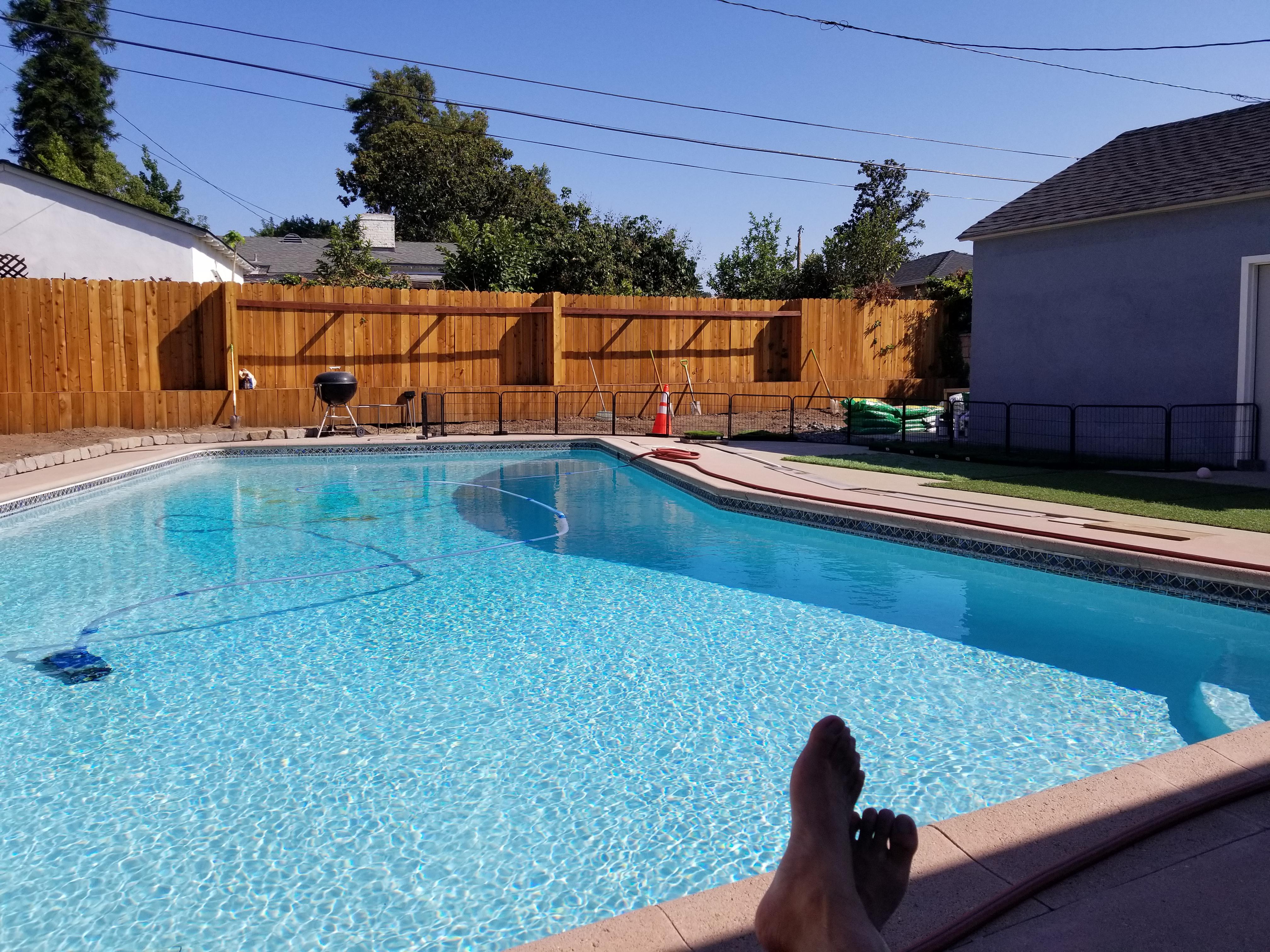 Pool day, every day r/pools