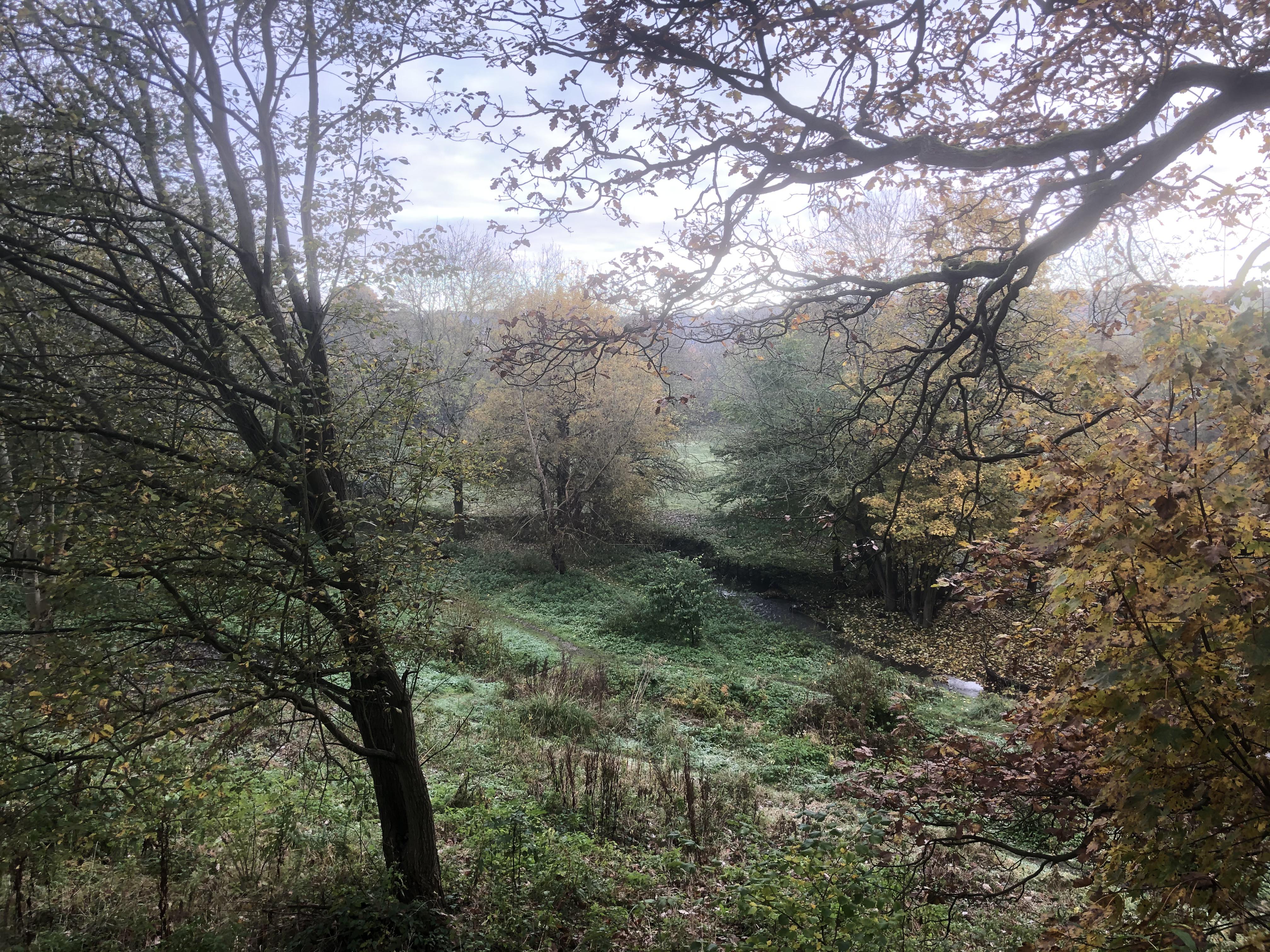 View from Woodhouse ridge path r/Leeds