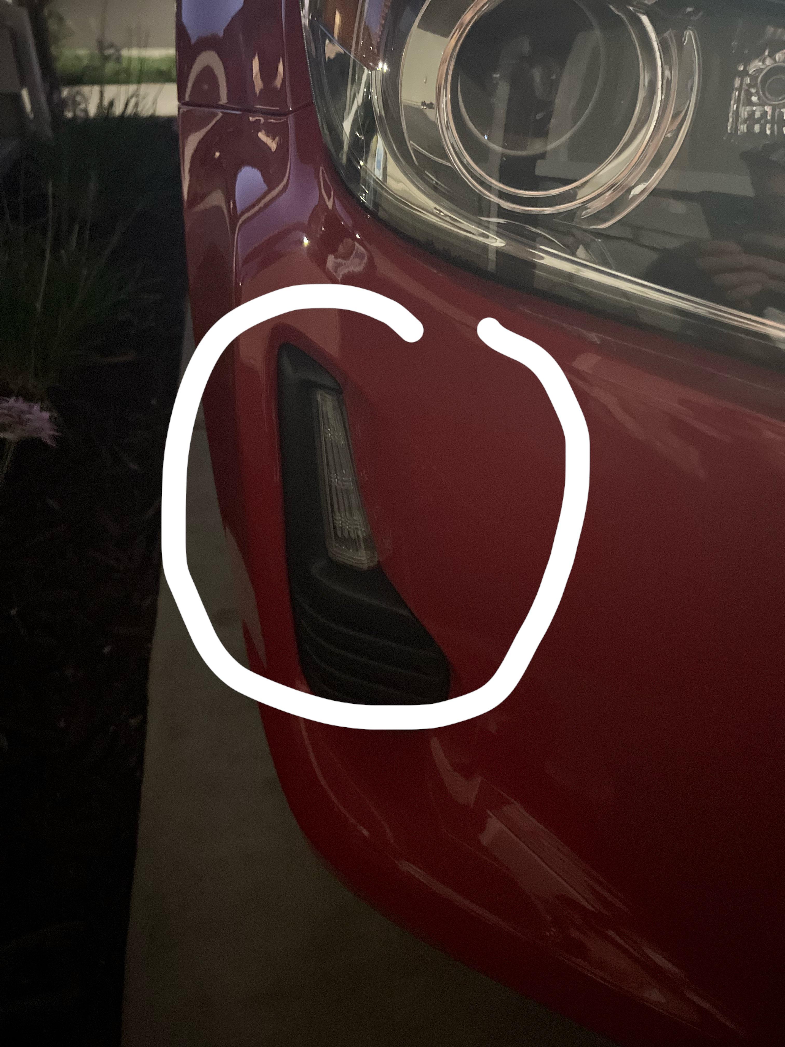 Hello guys. What do you call this light? Just noticed the passenger