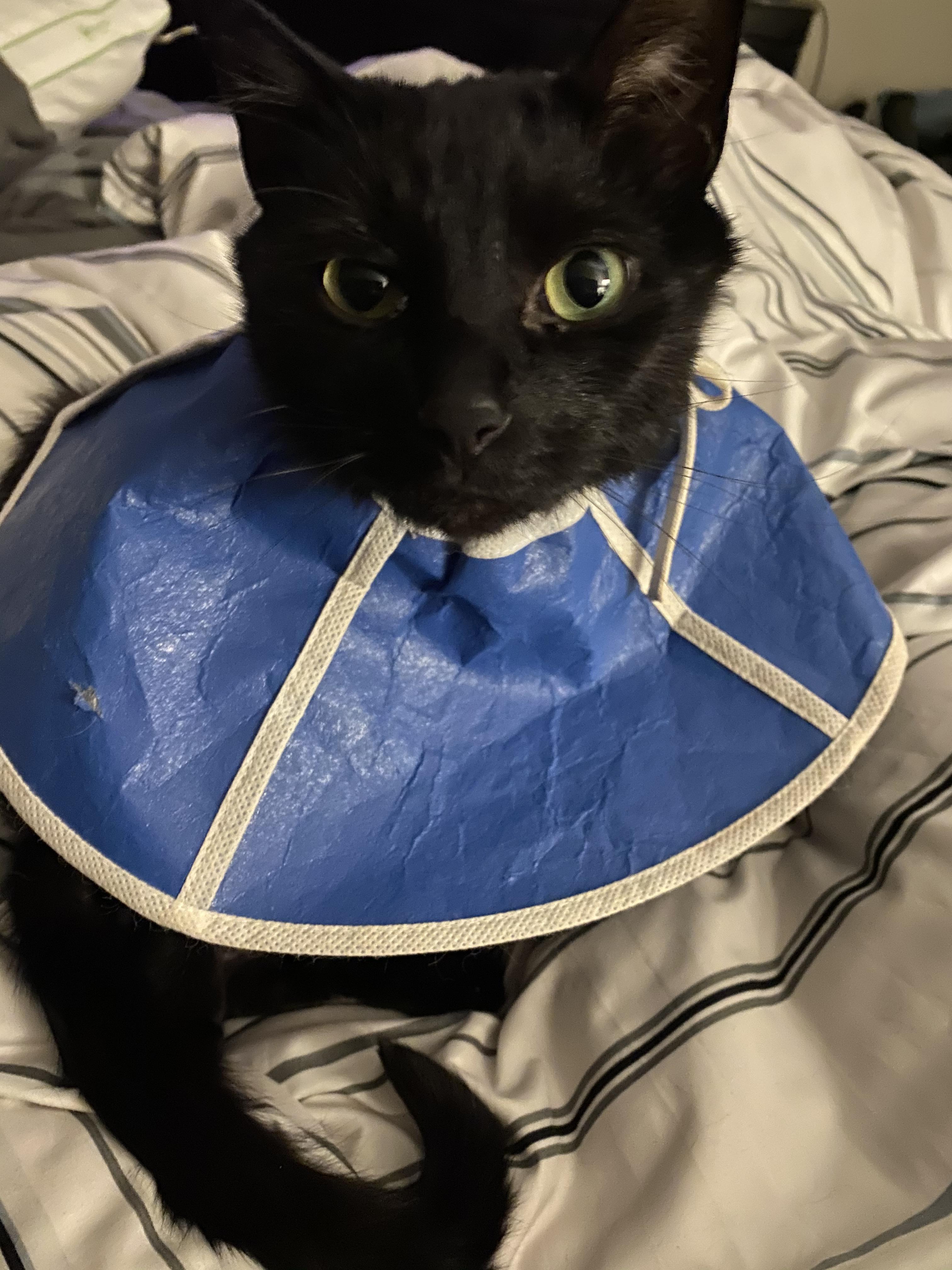 Just sprung from the hospital, posturinary blockage and perineal