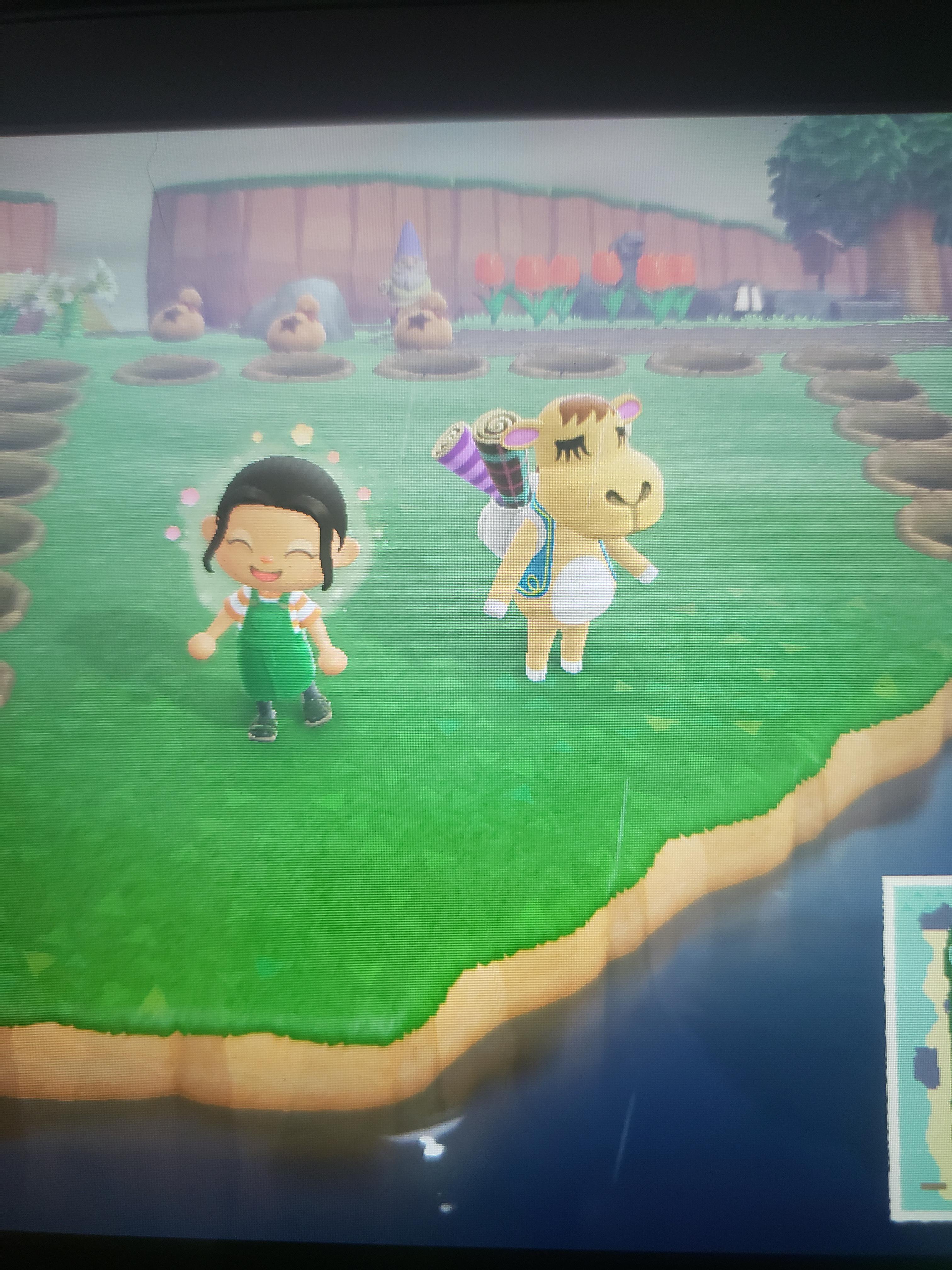 Sahara is here and trapped! Shops are also open Diys by front gate! r